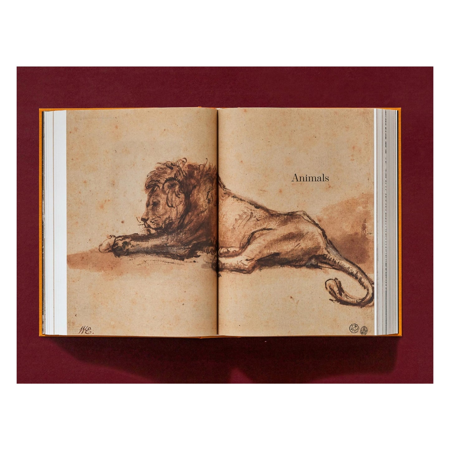 Rembrandt. The Complete Drawings and Etchings (English)