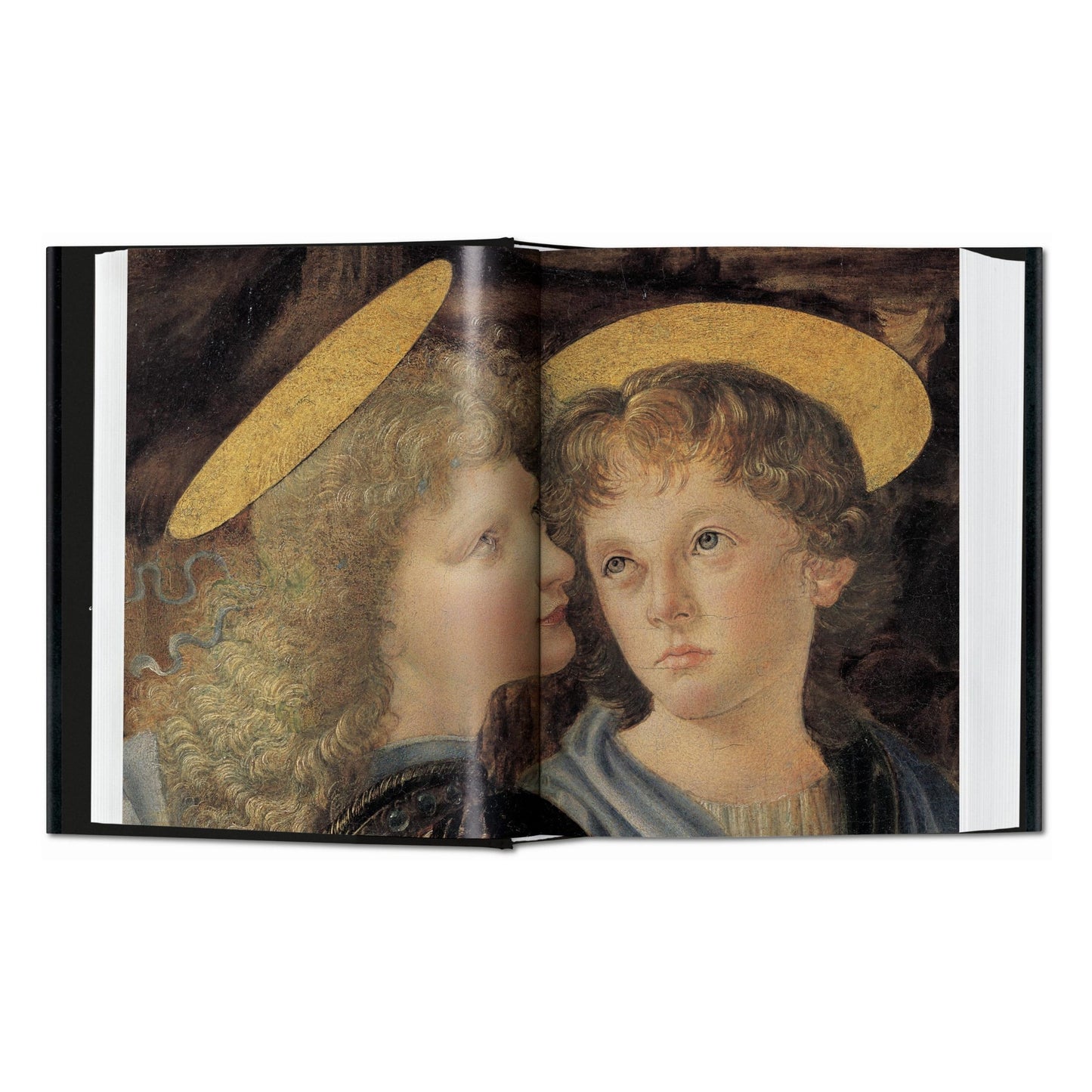 Léonard de Vinci. Tout l'œuvre peint (French)