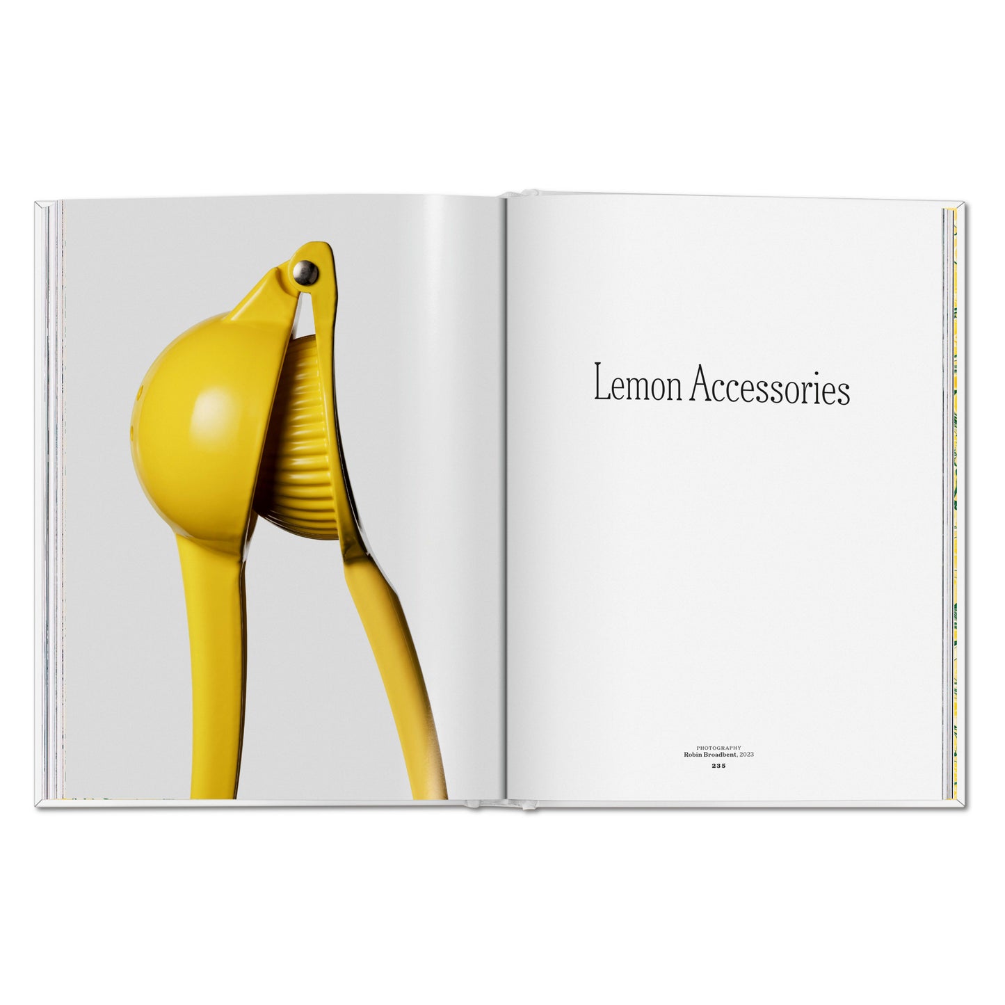 The Gourmand's Lemon. A Collection of Stories and Recipes (English)