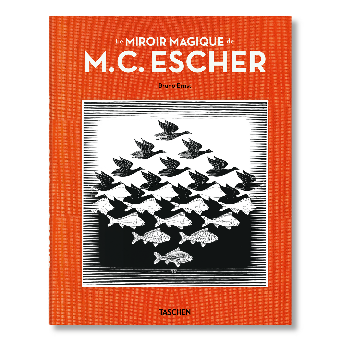 Le Miroir magique de M.C. Escher (French)