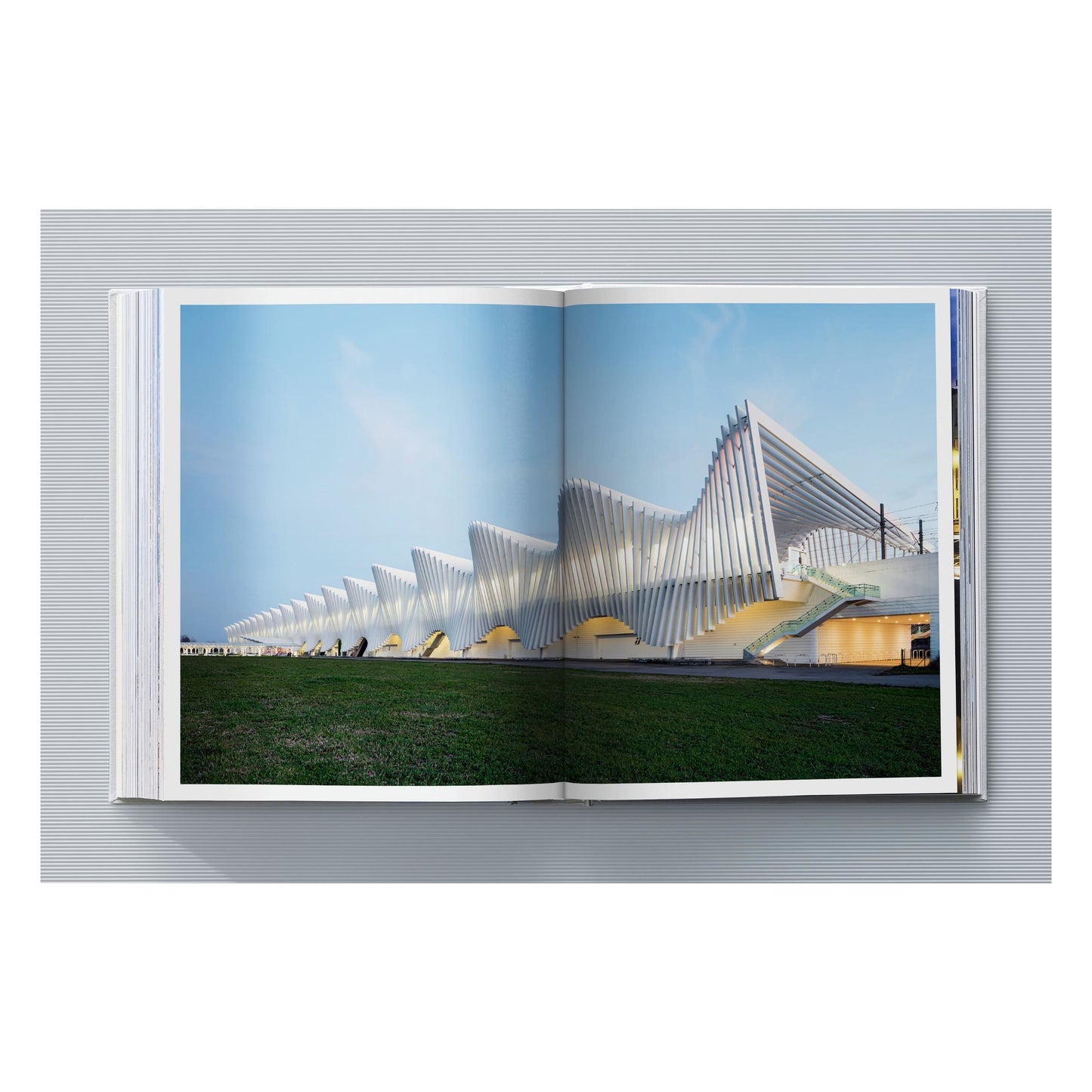 Calatrava. Complete Works 1979–Today. Art Edition 'Transfigured Tree. Messenger of Light', 2023 (German, French, English)