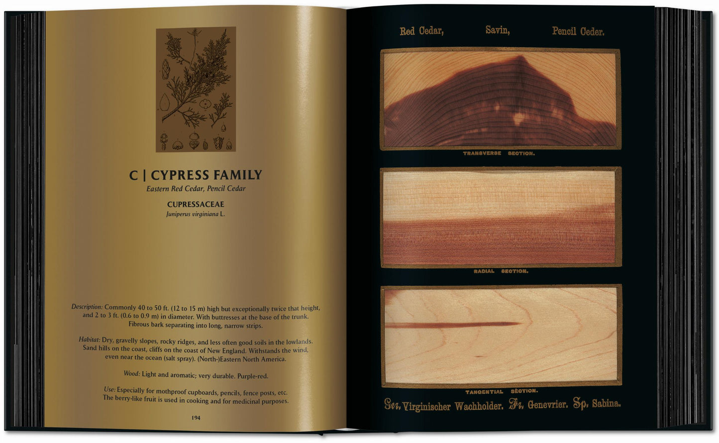 Romeyn B. Hough. The Woodbook. The Complete Plates (English)