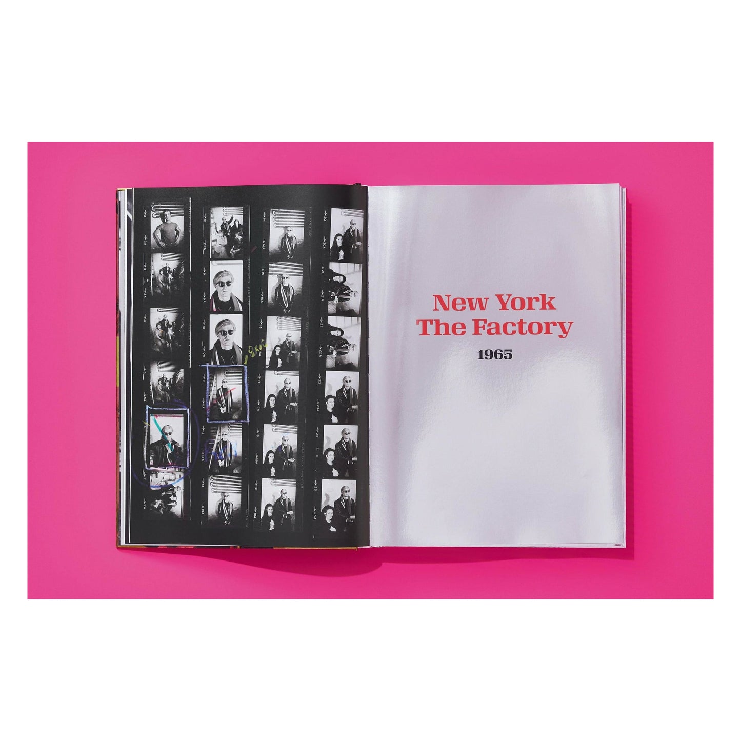 Steve Schapiro. Andy Warhol and Friends (English) (SA)