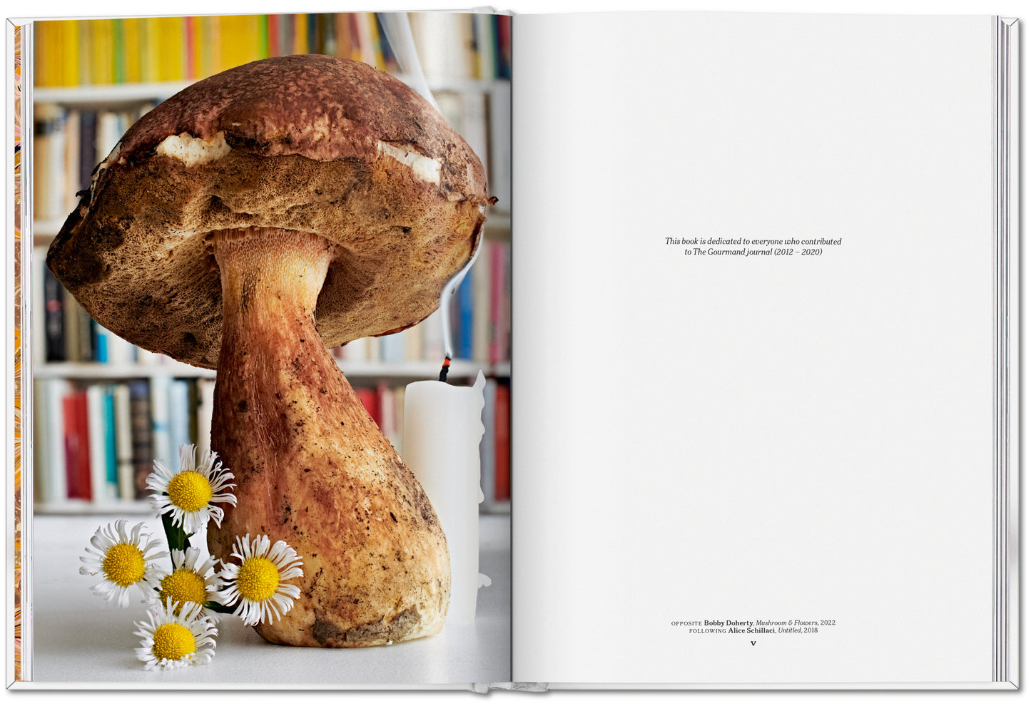 The Gourmand's Mushroom. A Collection of Stories & Recipes (English)