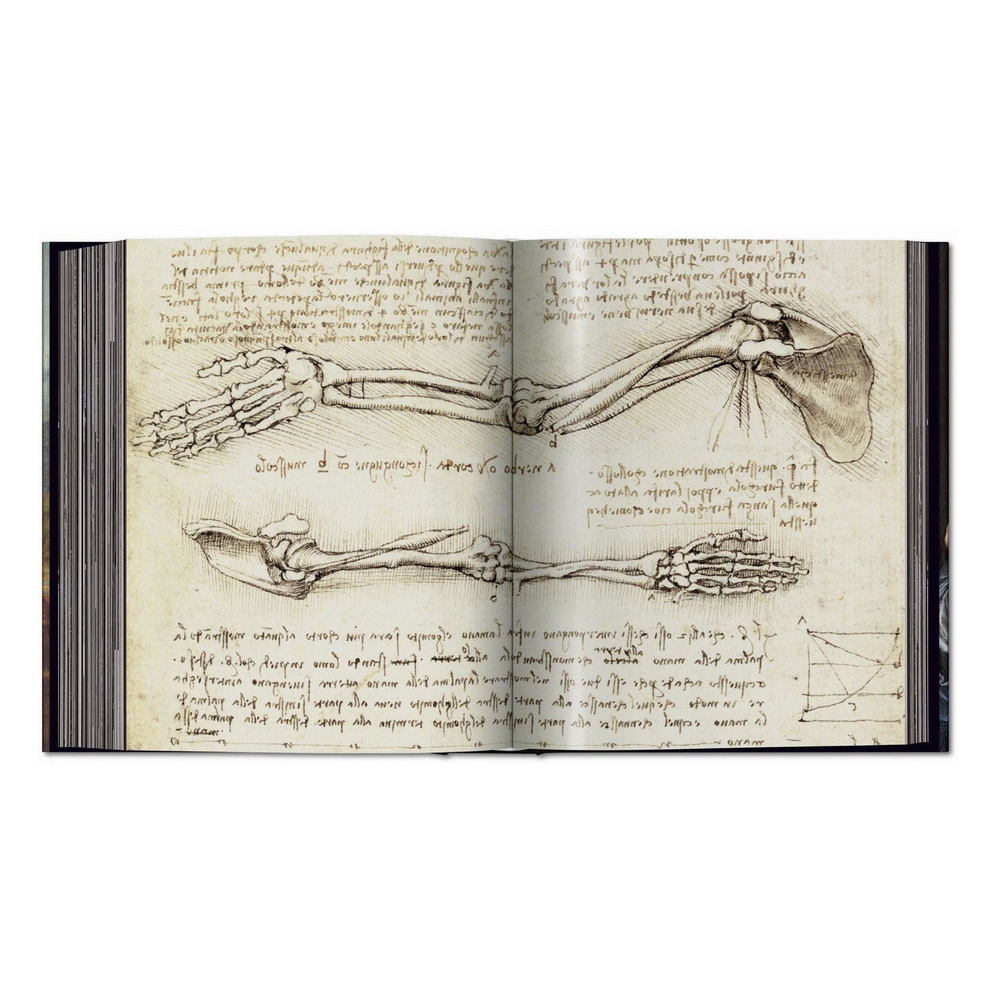 Leonardo. Obra pictórica completa y obra gráfica (Spanish)