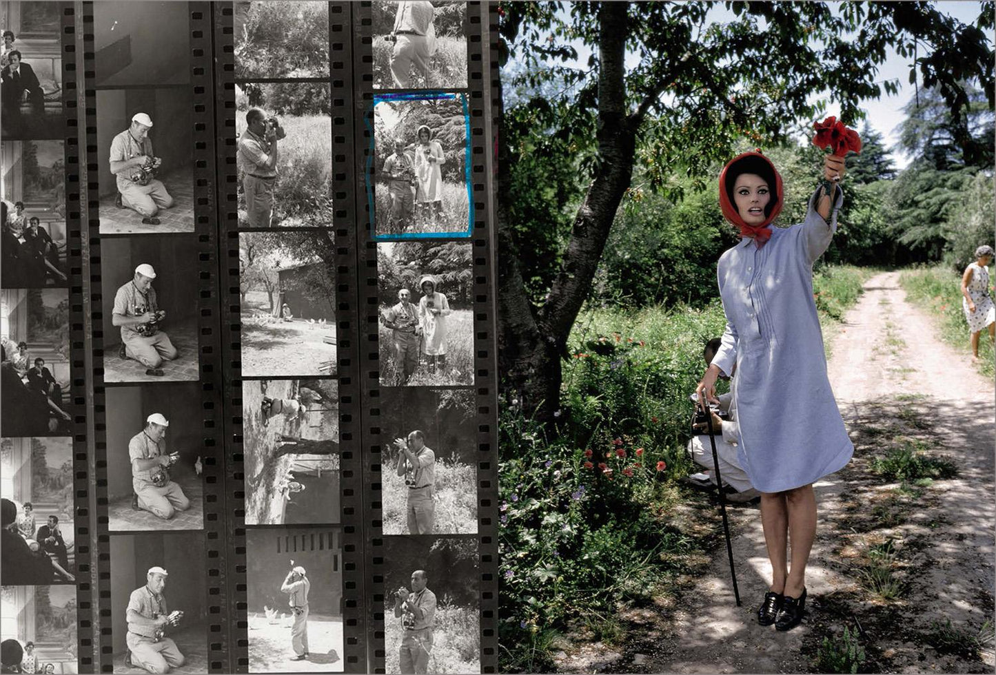 Sophia by Eisenstaedt (English)