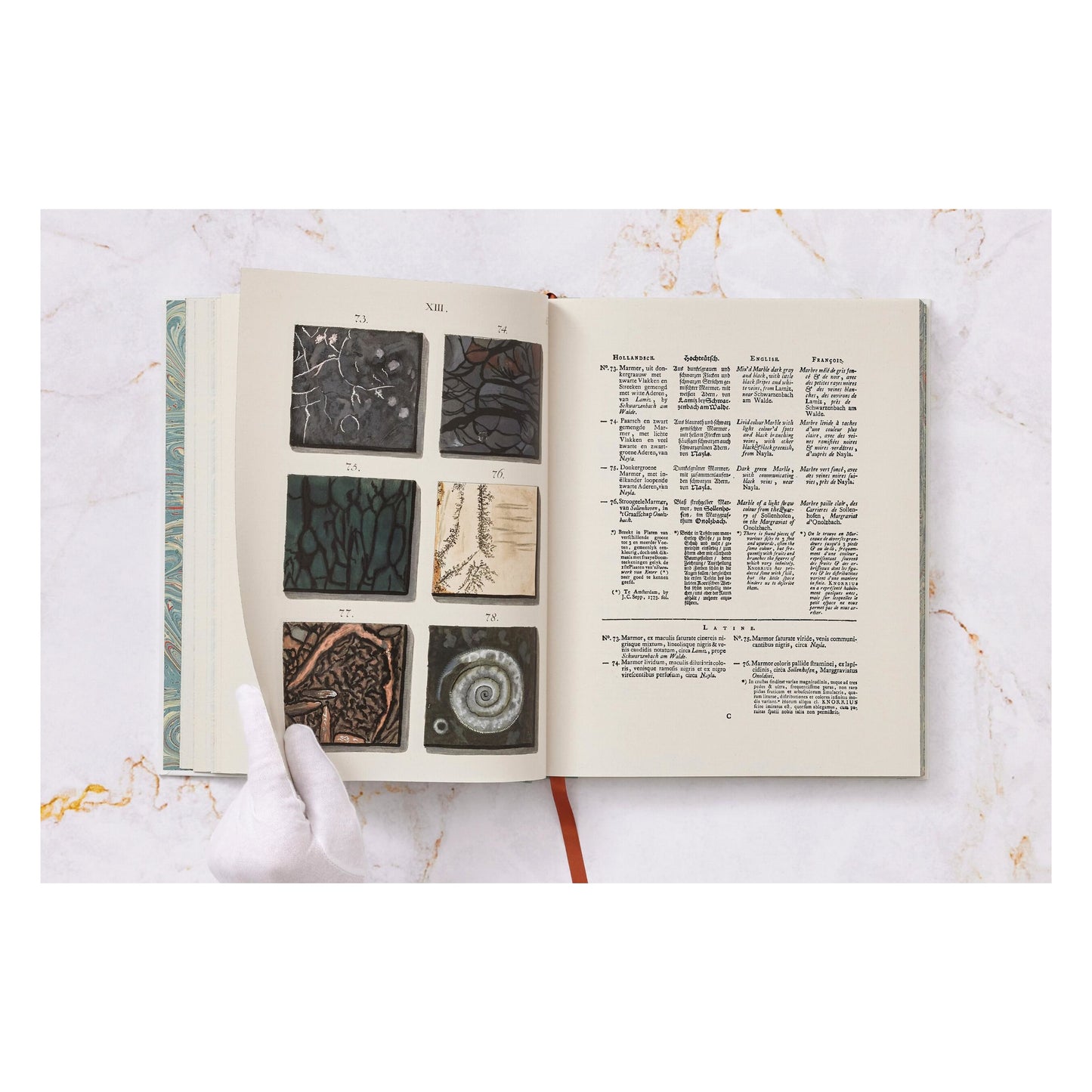 Jan Christiaan Sepp. The Book of Marble (German, French, English) (FFE)