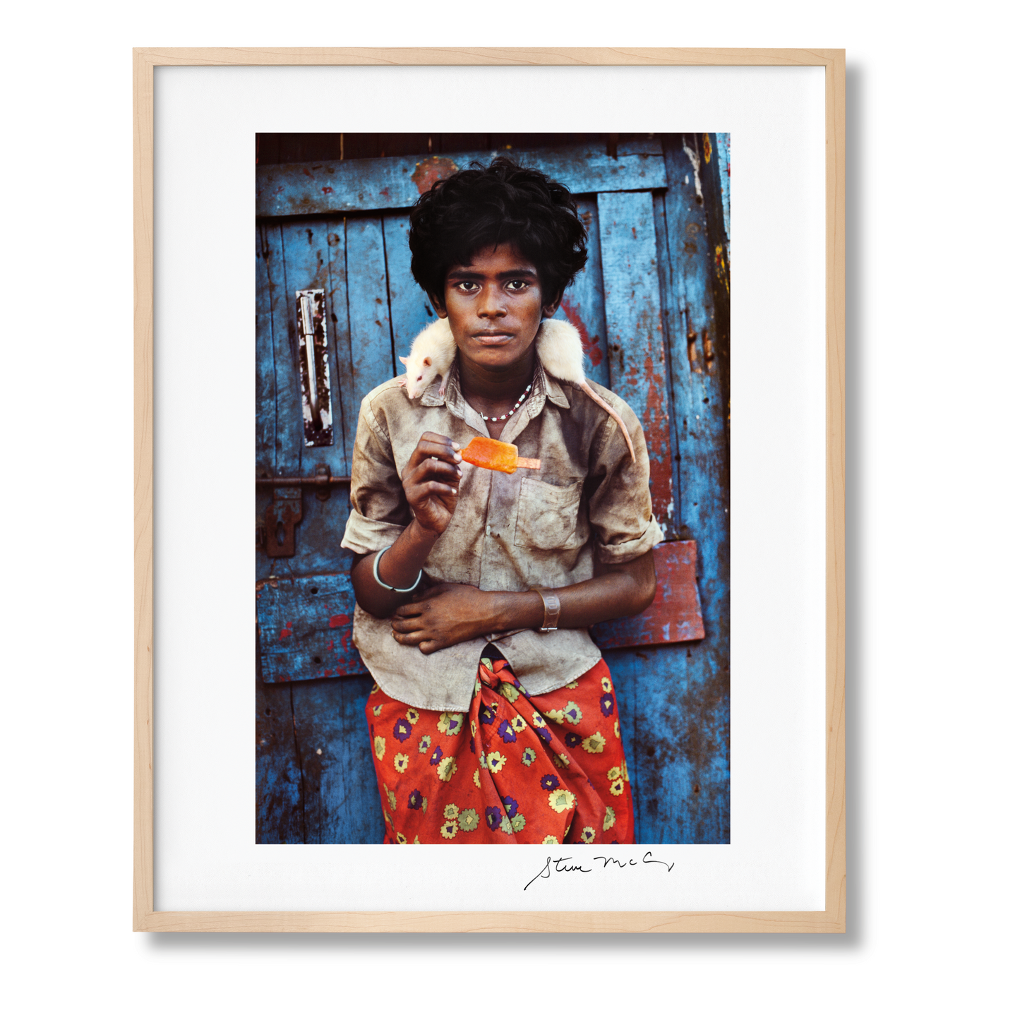 McCurry, Animals, Art B, Chennai (German, French, English) (AP)