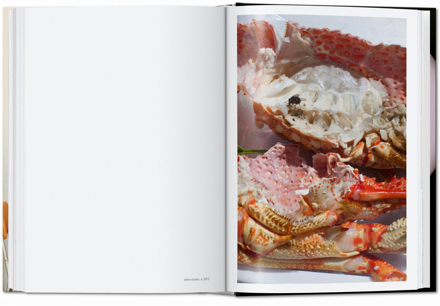 Wolfgang Tillmans. four books. 45th Ed. (English)