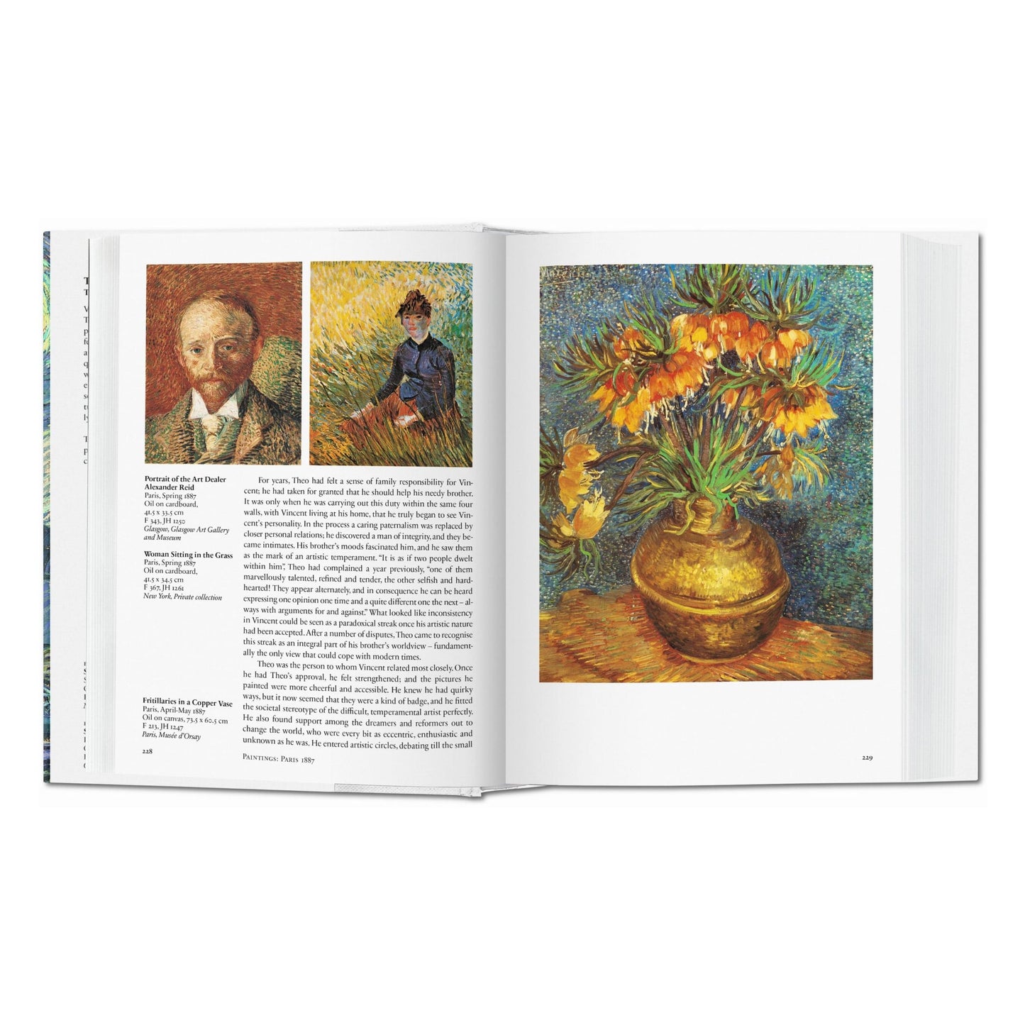 Van Gogh. L'Œuvre complet - Peinture (French)