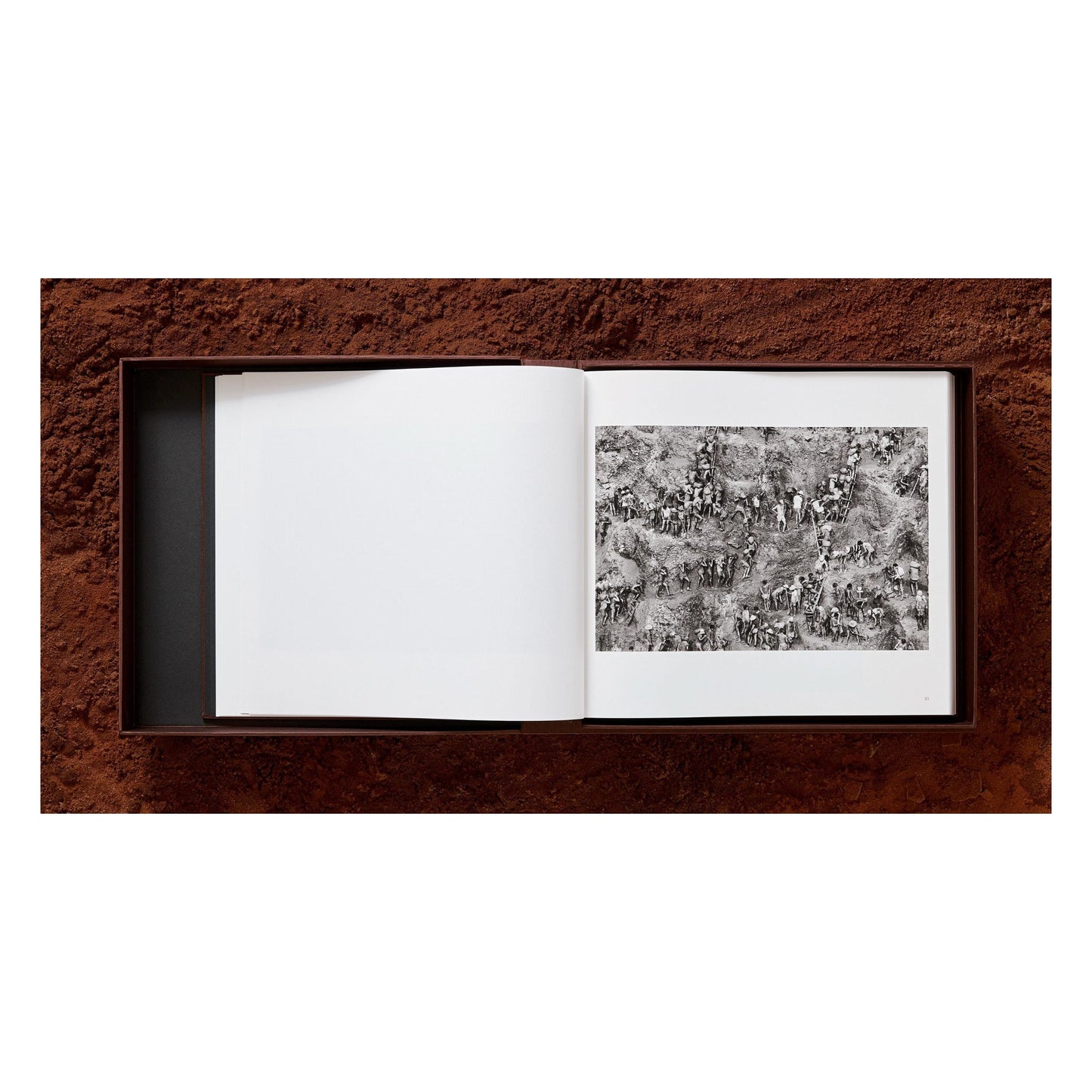 Sebastião Salgado. Gold (English)