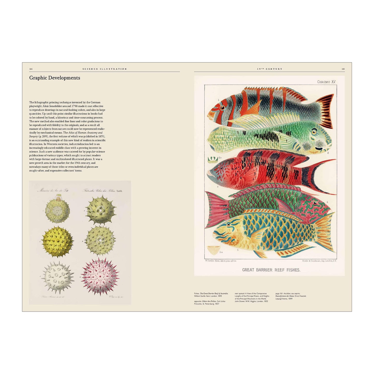 Science Illustration. A History of Visual Knowledge from the 15th Century to Today (German, French, English)