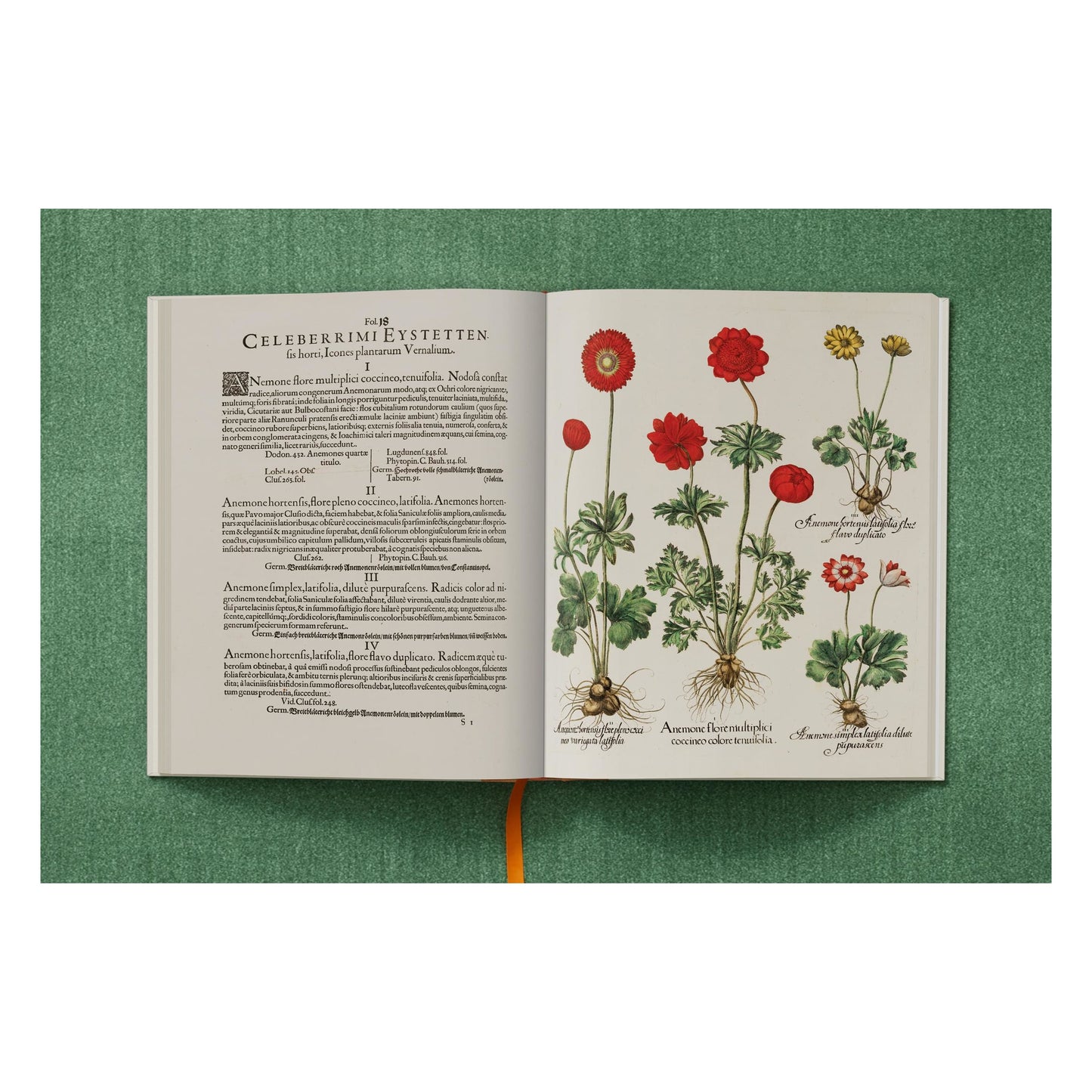 Basilius Besler. The Garden at Eichstätt (German, French, English)