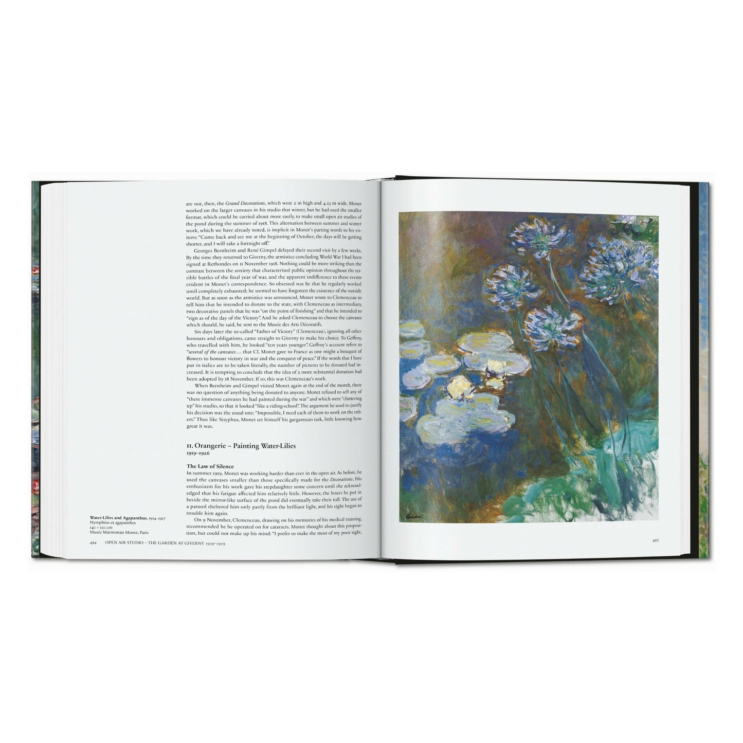 Monet. El triunfo del impresionismo (Spanish)