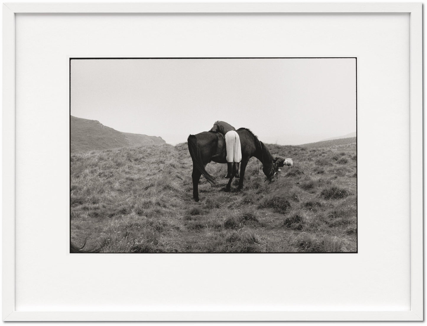 Linda McCartney. Life in Photographs, Art Edition No. 1–125 ‘Horse’ (English) (SA)