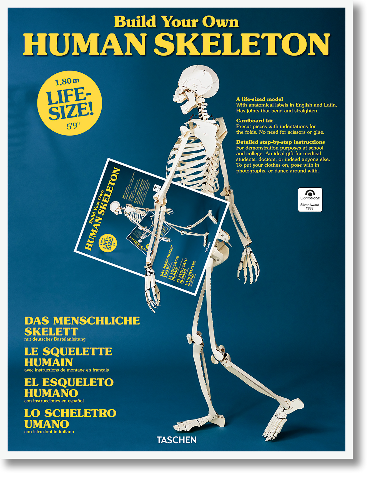 Build Your Own Human Skeleton (German, Spanish, French, English, Italian)