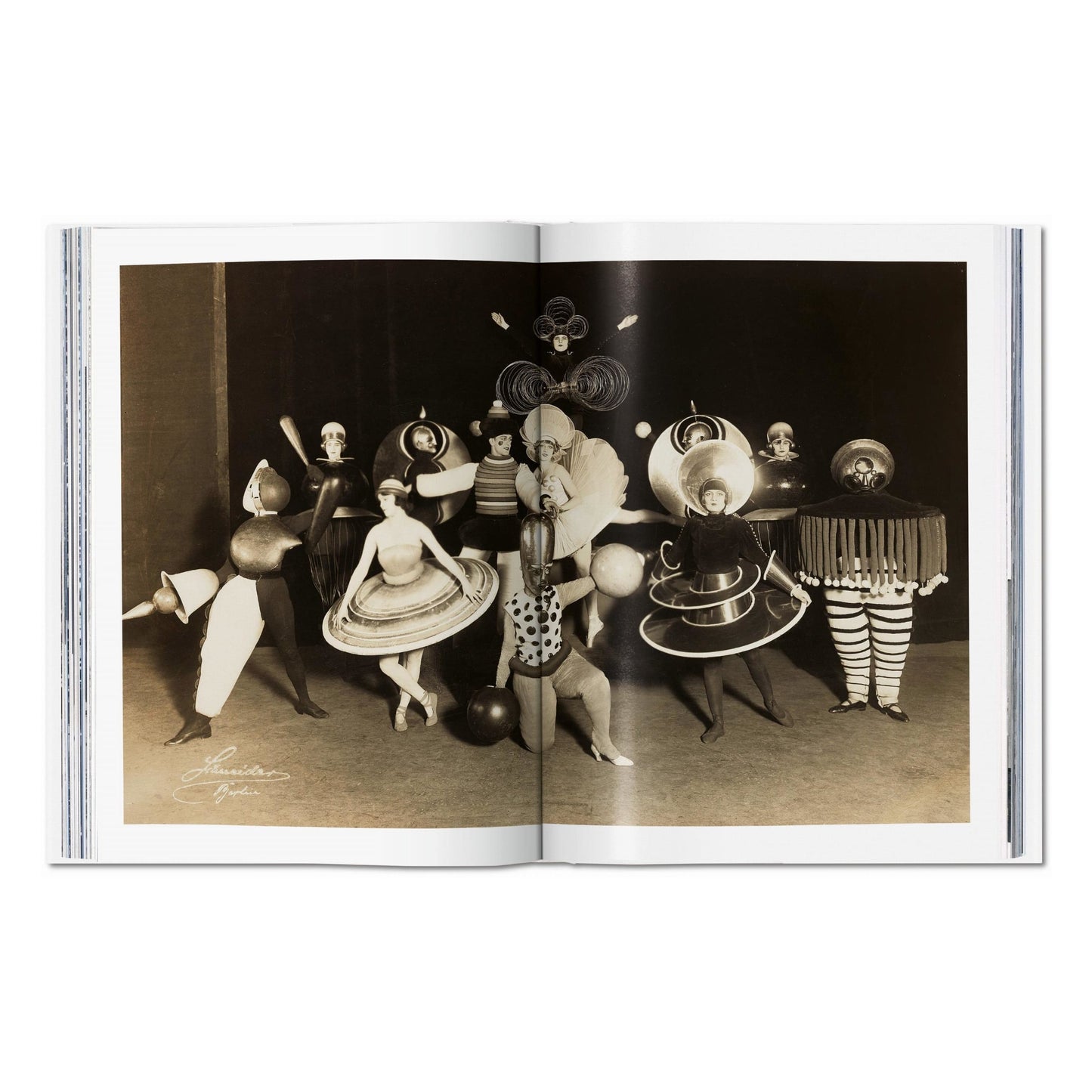 Bauhaus. Édition actualisée (French)