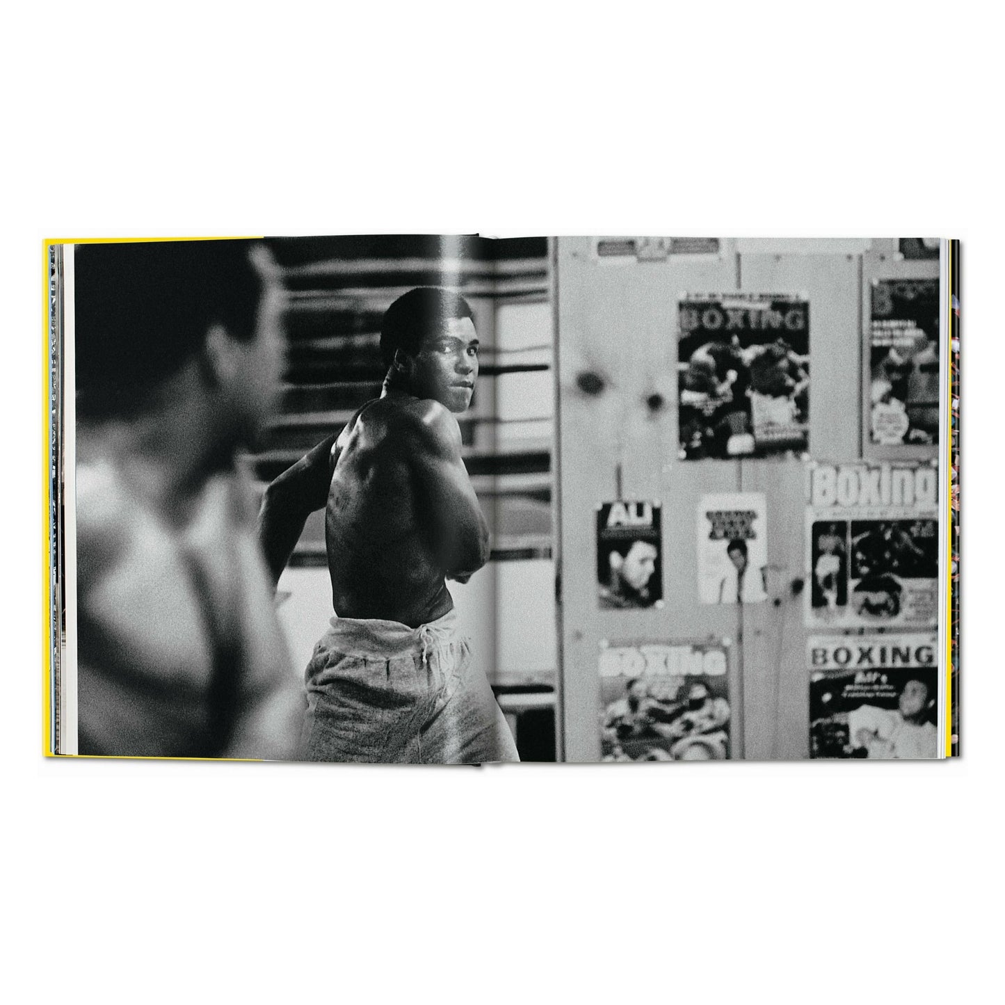 Norman Mailer. Neil Leifer. Howard L. Bingham. The Fight (English)
