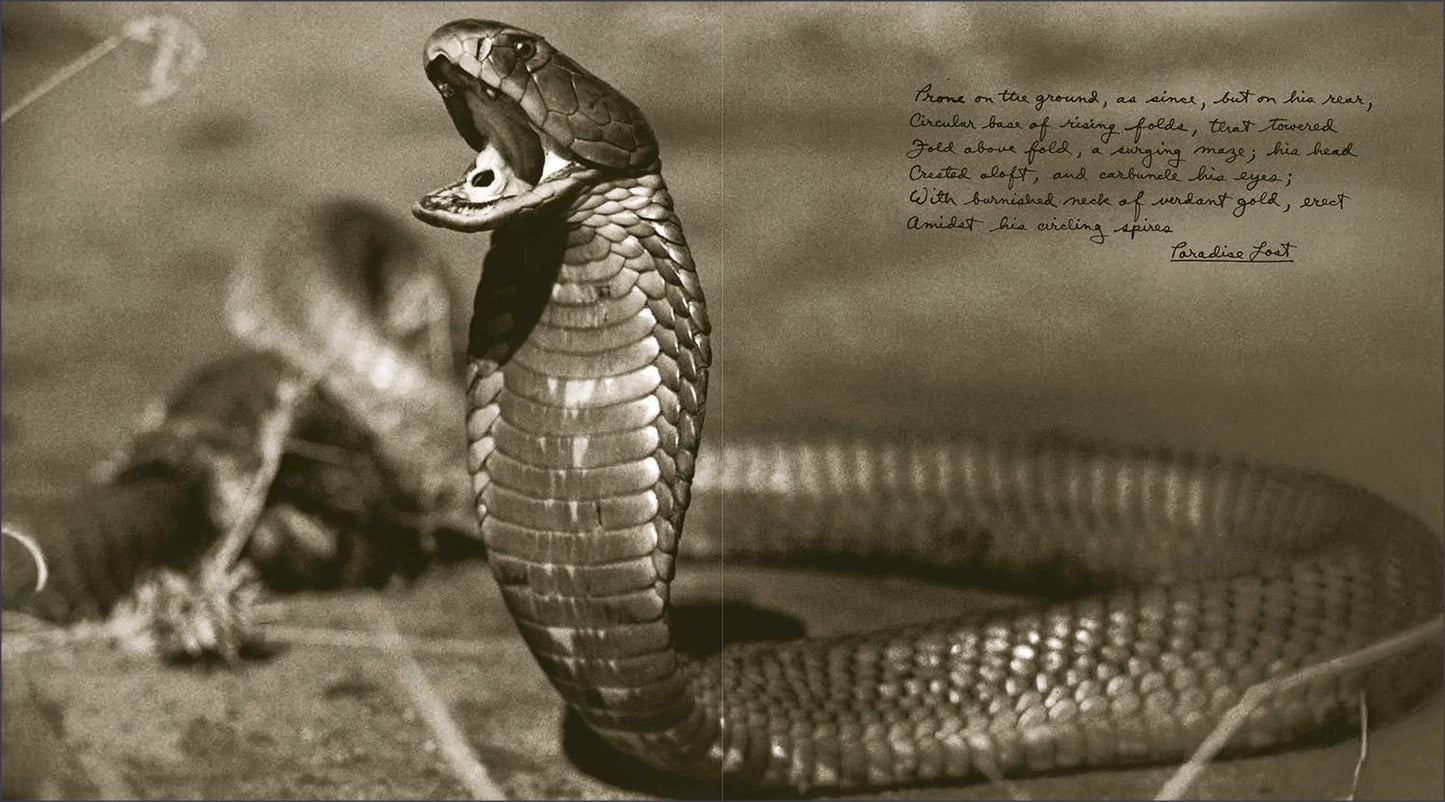 Peter Beard. The End of the Game (English)