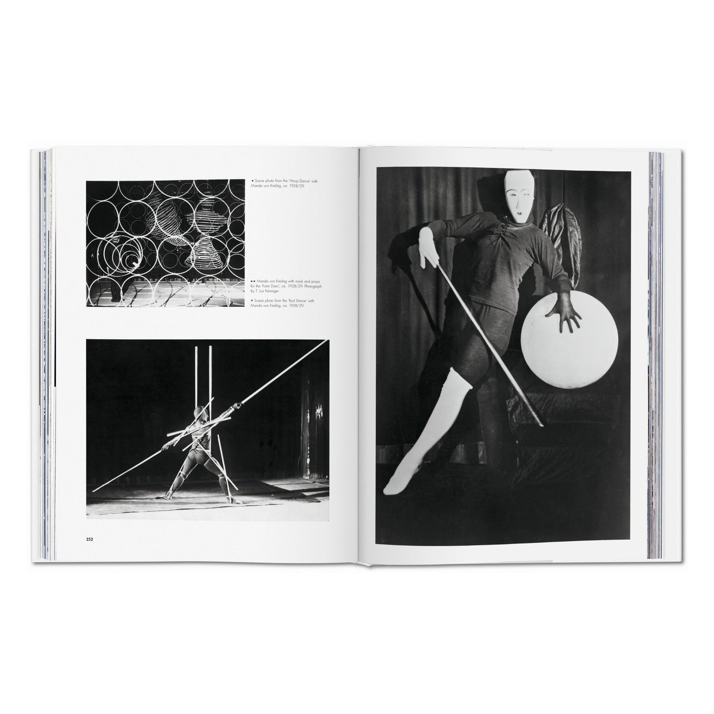Bauhaus. Edición actualizada (Spanish)