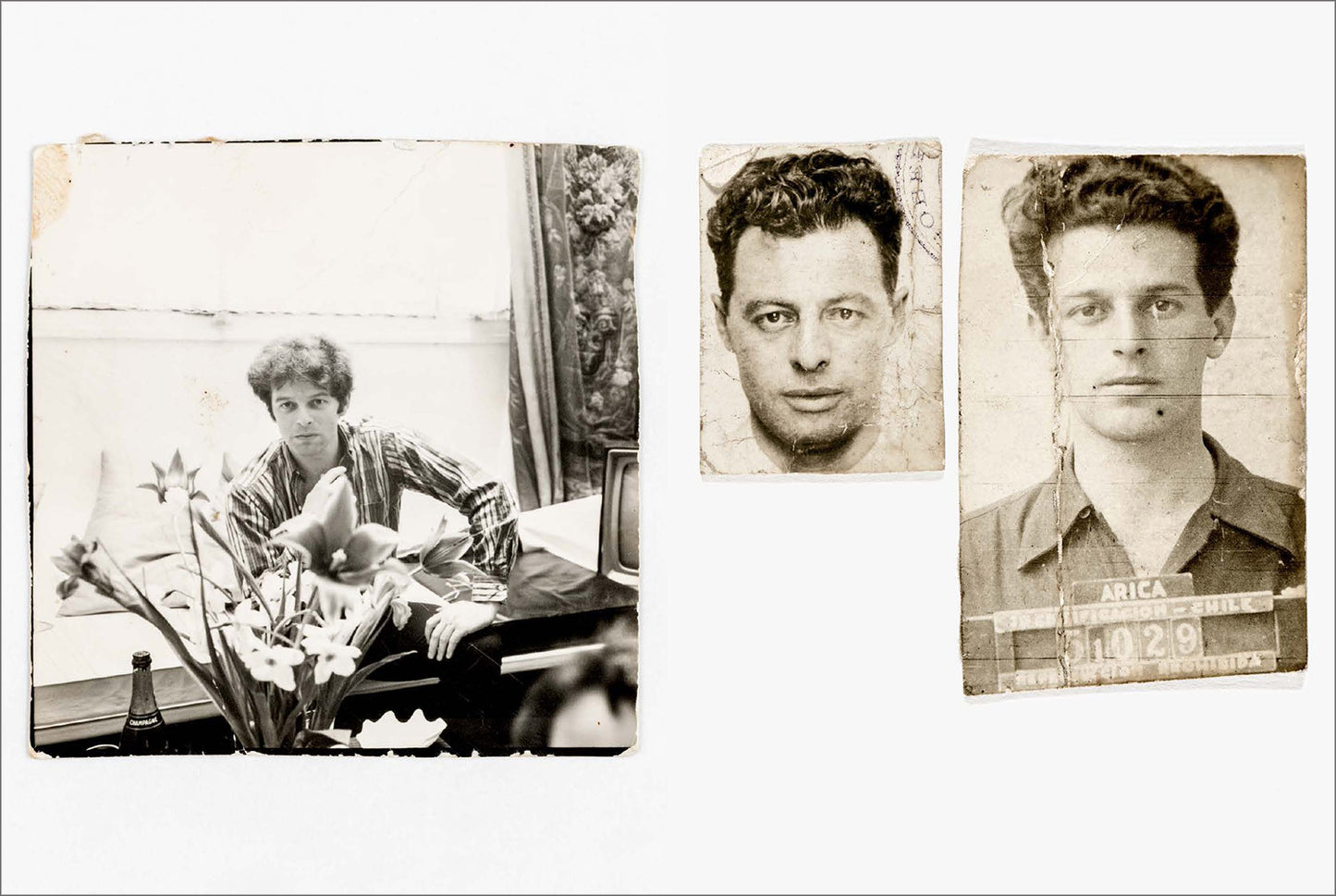 Alejandro Jodorowsky. Art Sin Fin (English) (AP)