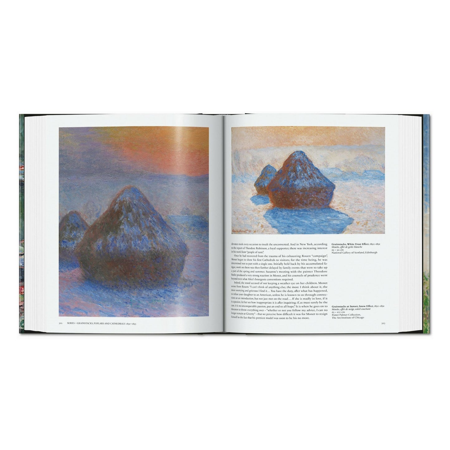 Monet. El triunfo del impresionismo (Spanish)