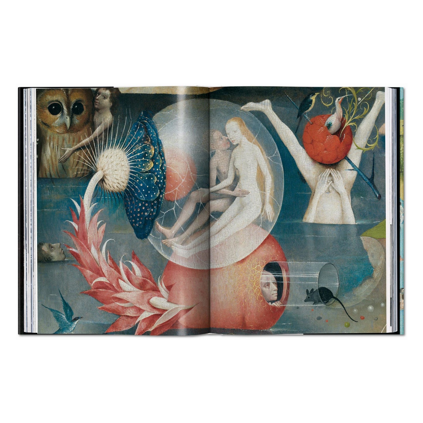 Bosch. L’œuvre complet (French)