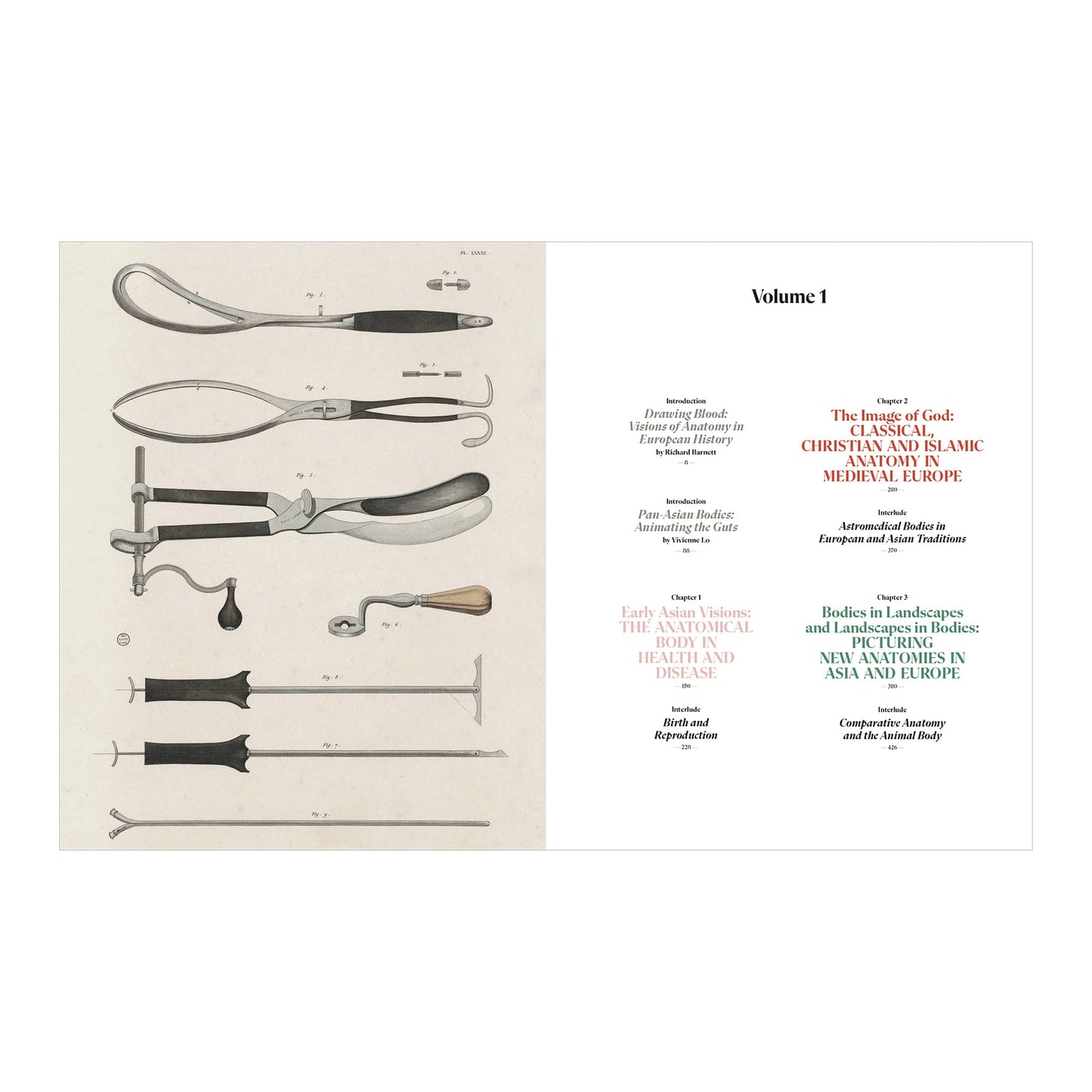 The Book of the Human Body (German, Spanish, French, English)