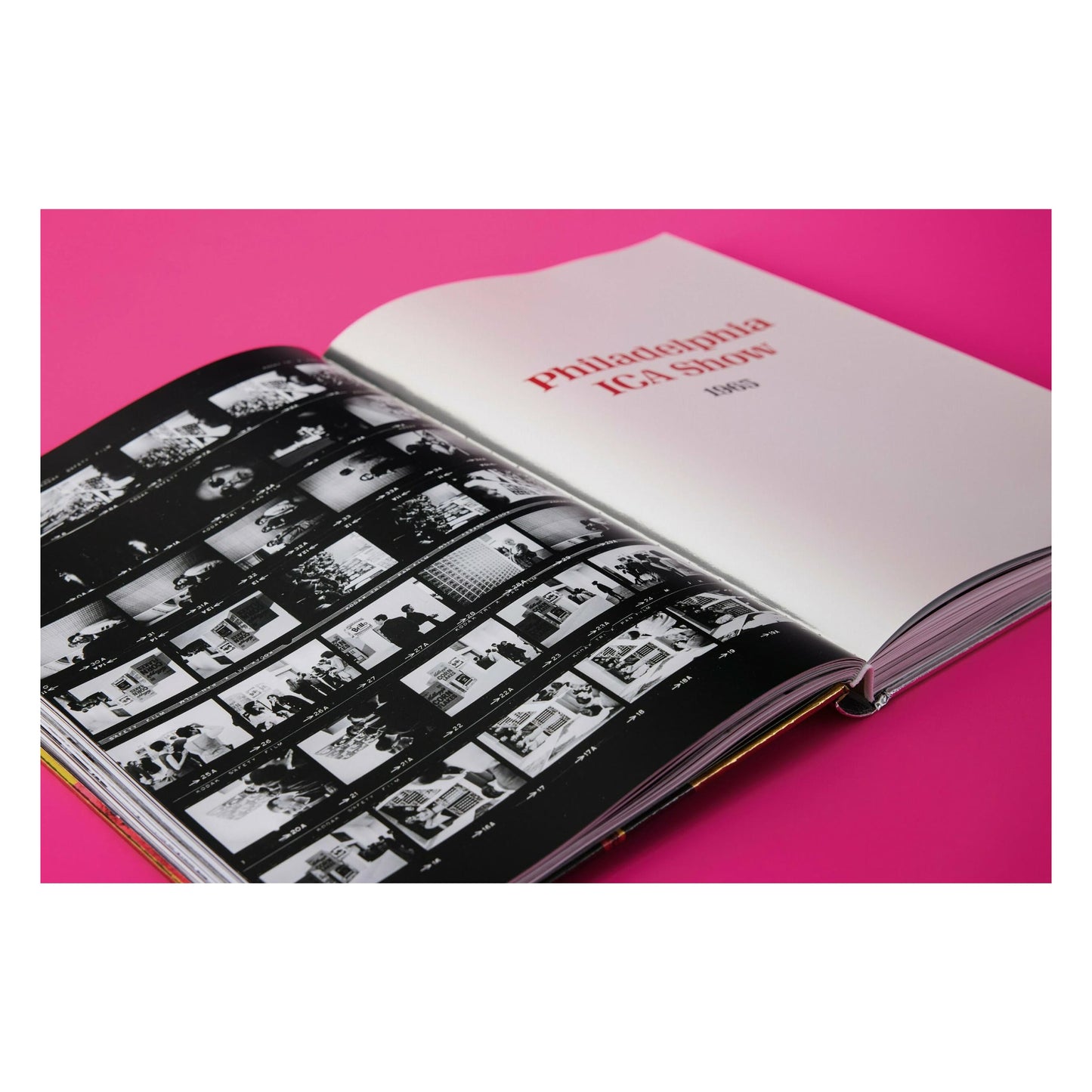 Steve Schapiro. Andy Warhol and Friends (English) (SA)