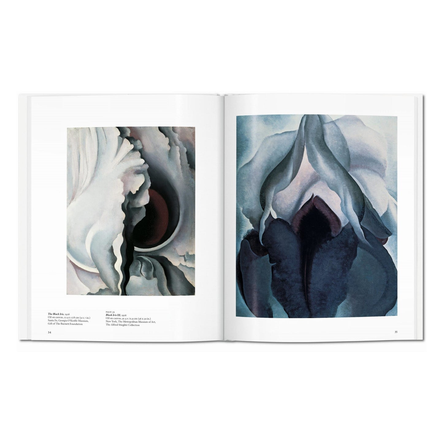 O'Keeffe (Spanish)