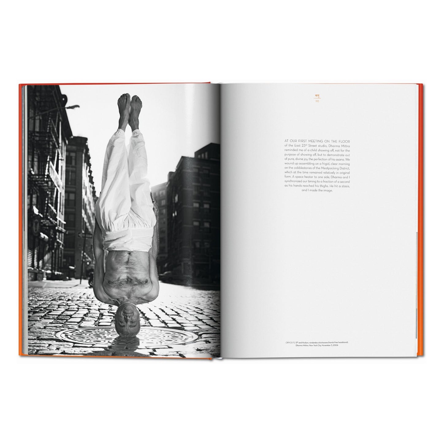 Michael O'Neill. Acerca del Yoga: La arquitectura de la paz (Spanish)