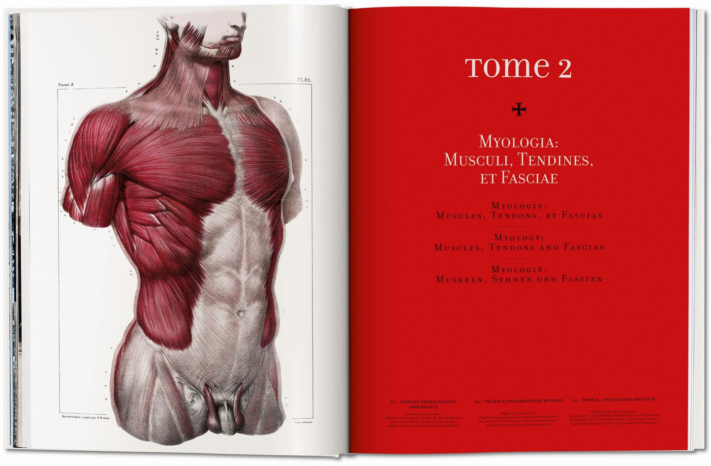 Bourgery. Atlas of Human Anatomy and Surgery (German, French, English)