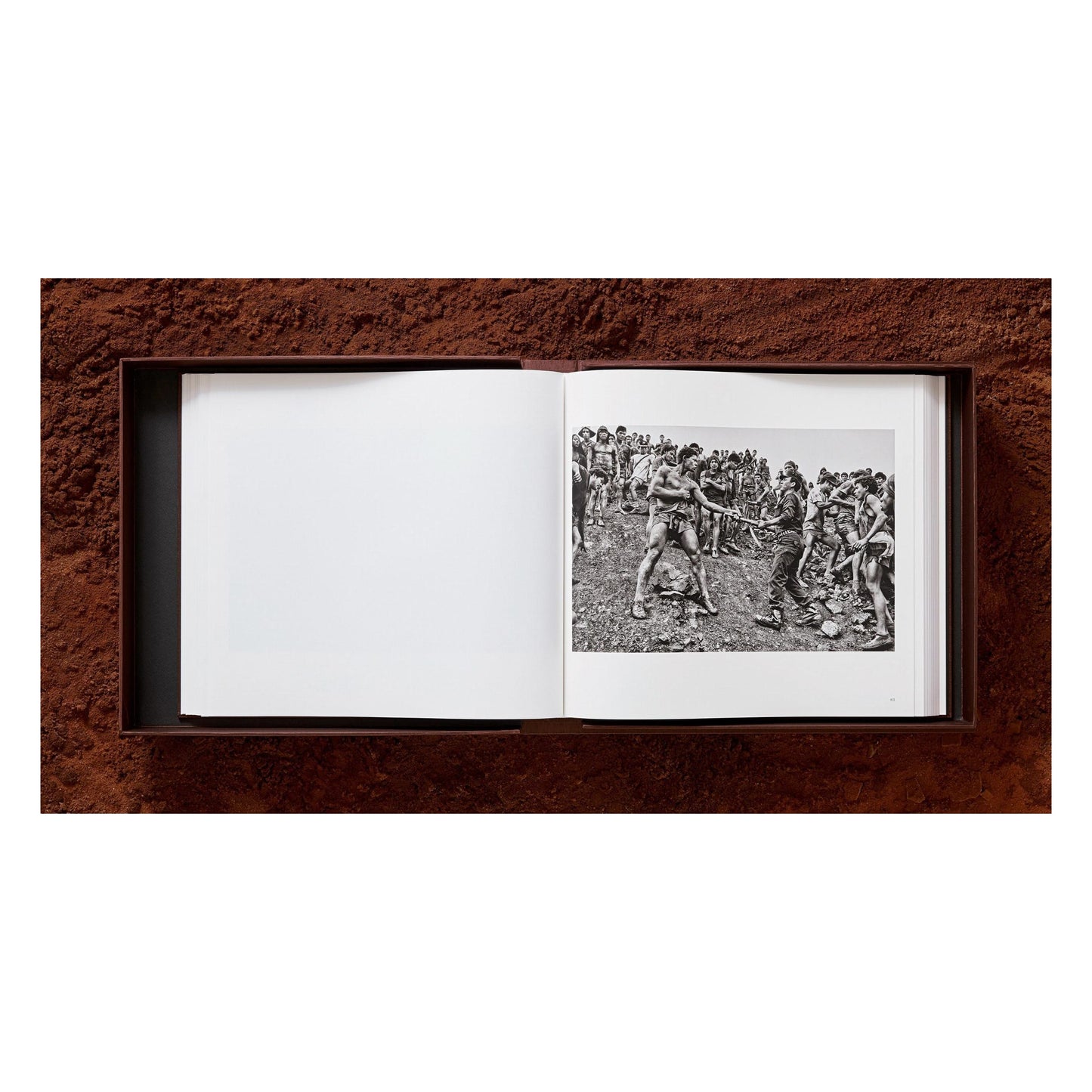 Sebastião Salgado. Gold (English)