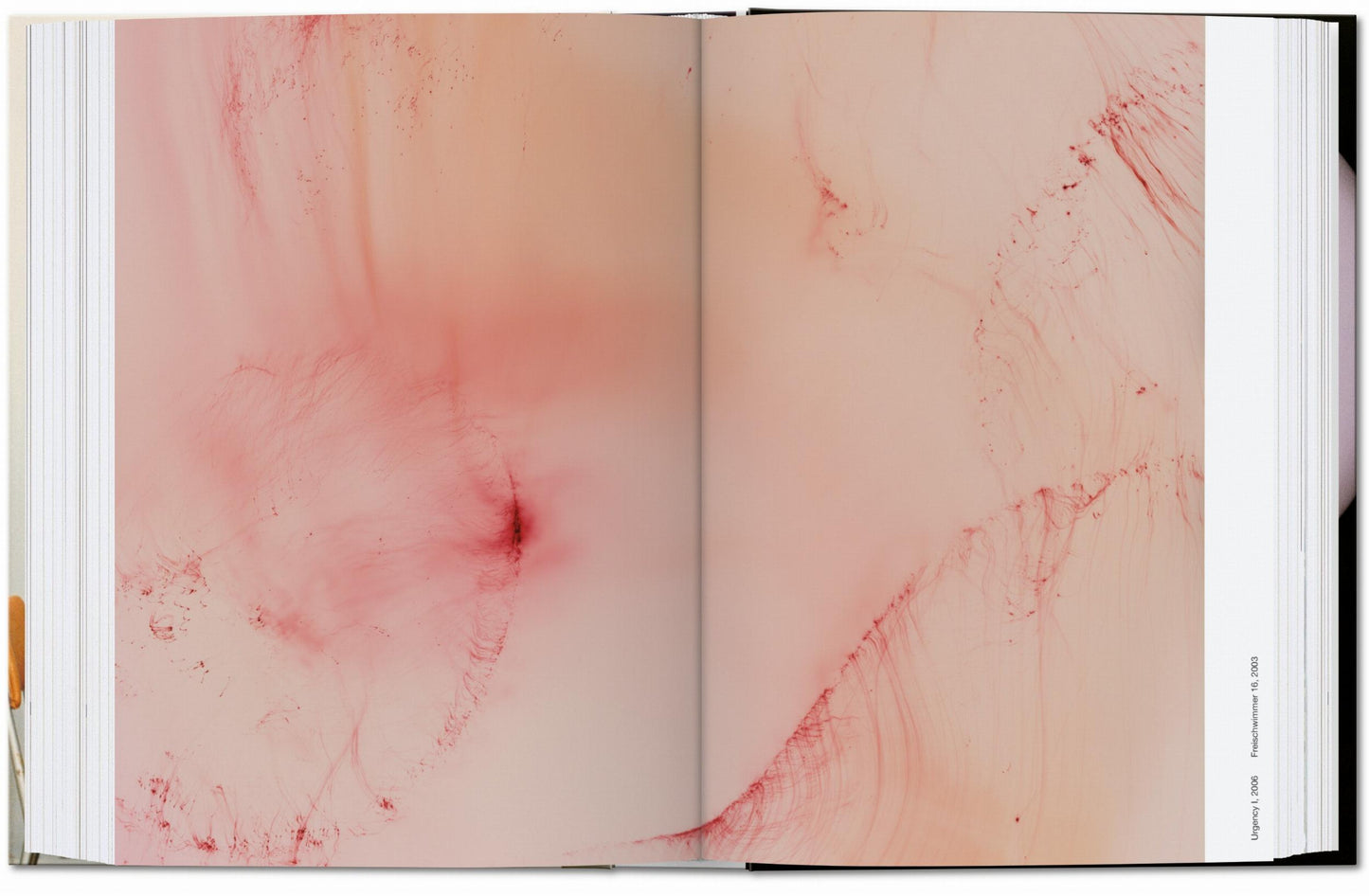 Wolfgang Tillmans. four books. 45th Ed. (English)