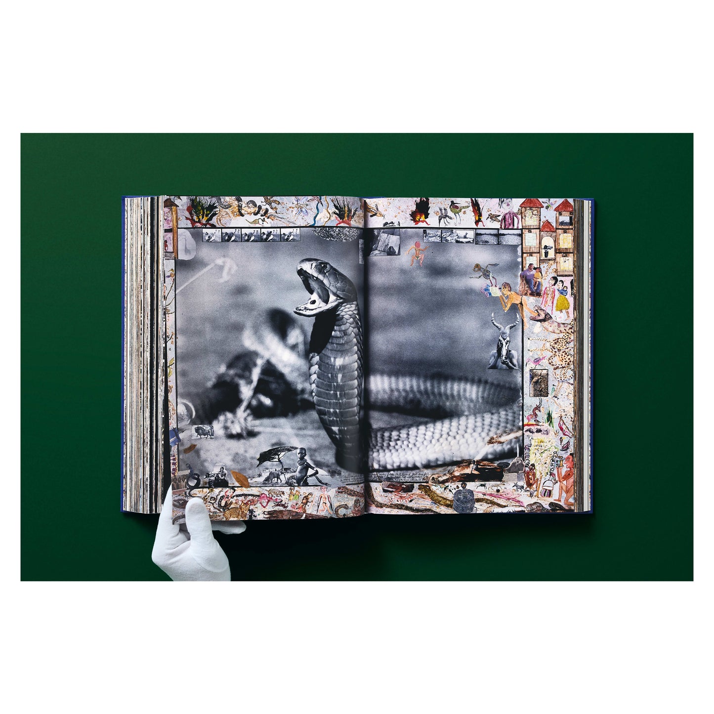 Peter Beard (German, French, English)