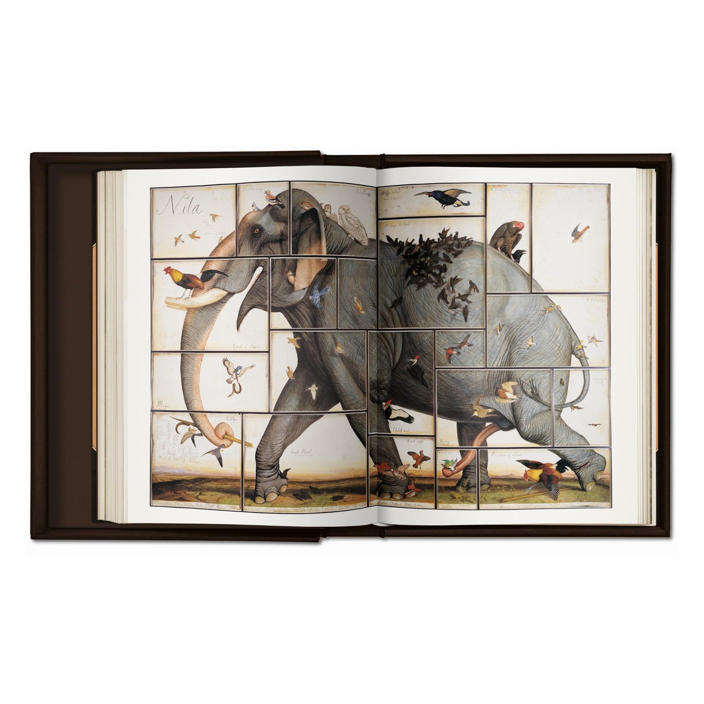 Walton Ford. Pancha Tantra (German, French, English) (AP)