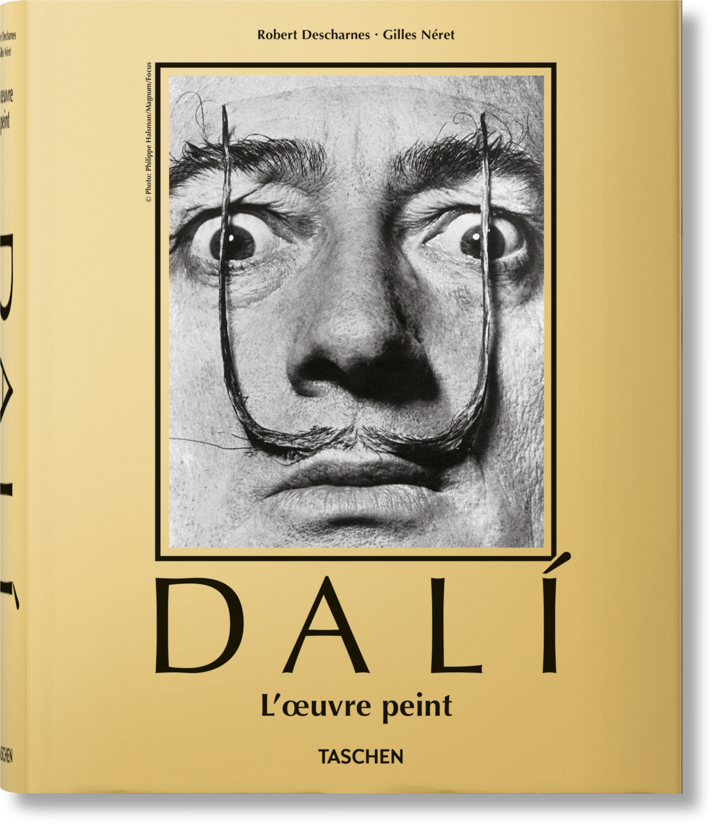 Dalí. L'œuvre peint (French)