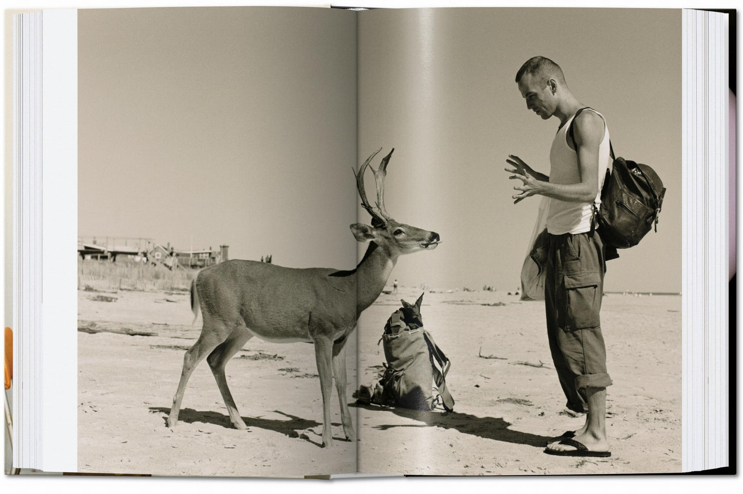 Wolfgang Tillmans. four books. 45th Ed. (English)