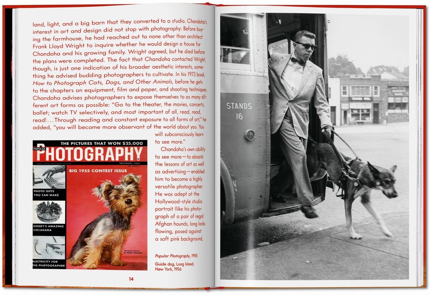 Walter Chandoha. Dogs. Photographs 1941–1991 (English)