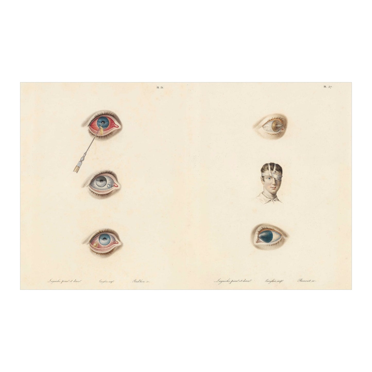 The Book of the Human Body (German, Spanish, French, English)