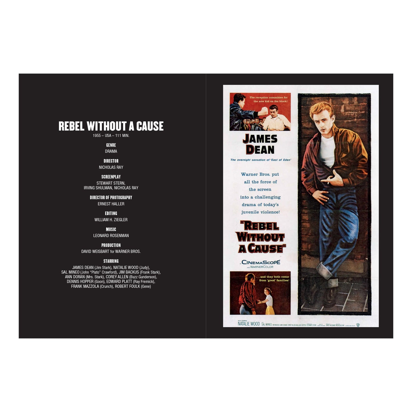 100 Movies of the 1950s (English)