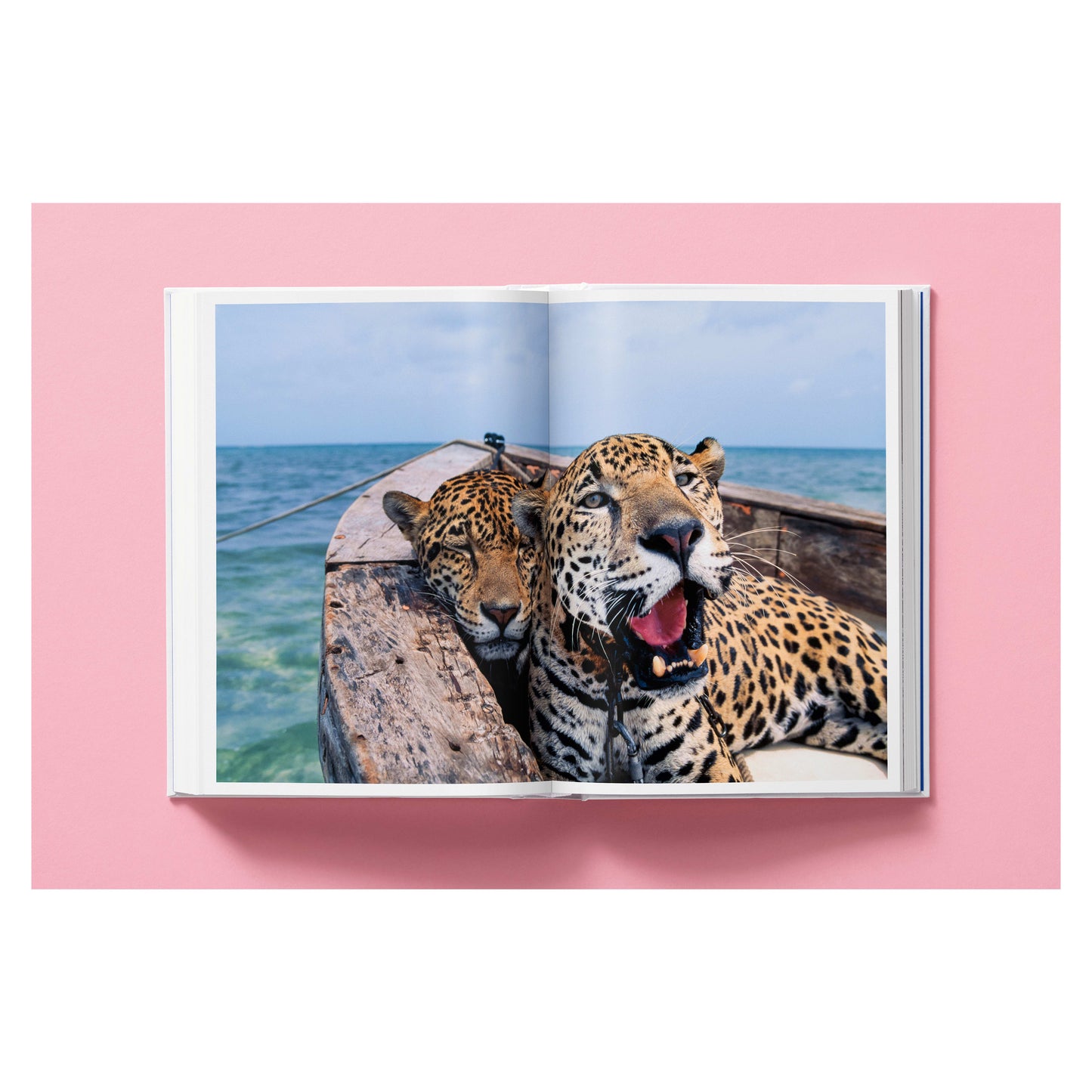 National Geographic. Around the World in 125 Years (English)