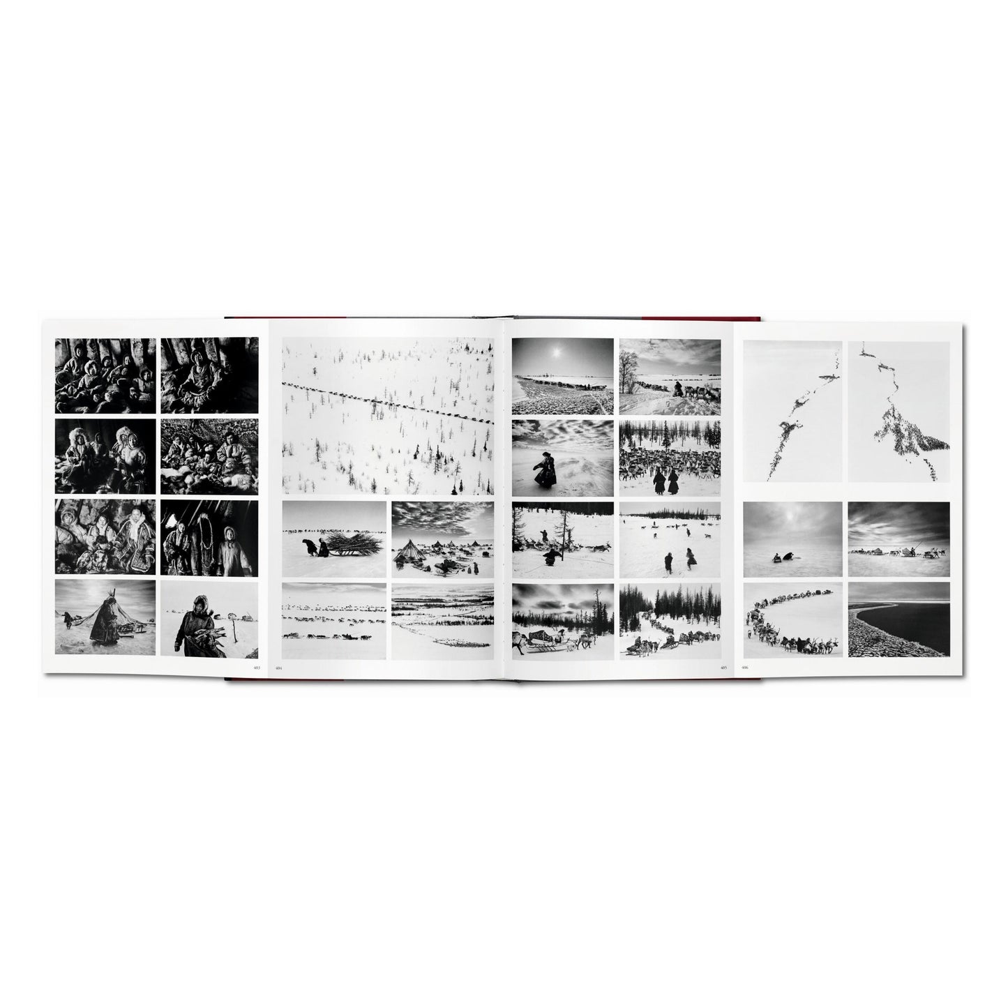 Sebastião Salgado. Genesis (English)