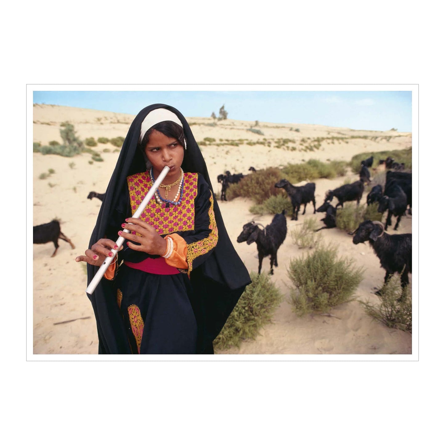 National Geographic. Around the World in 125 Years (English)