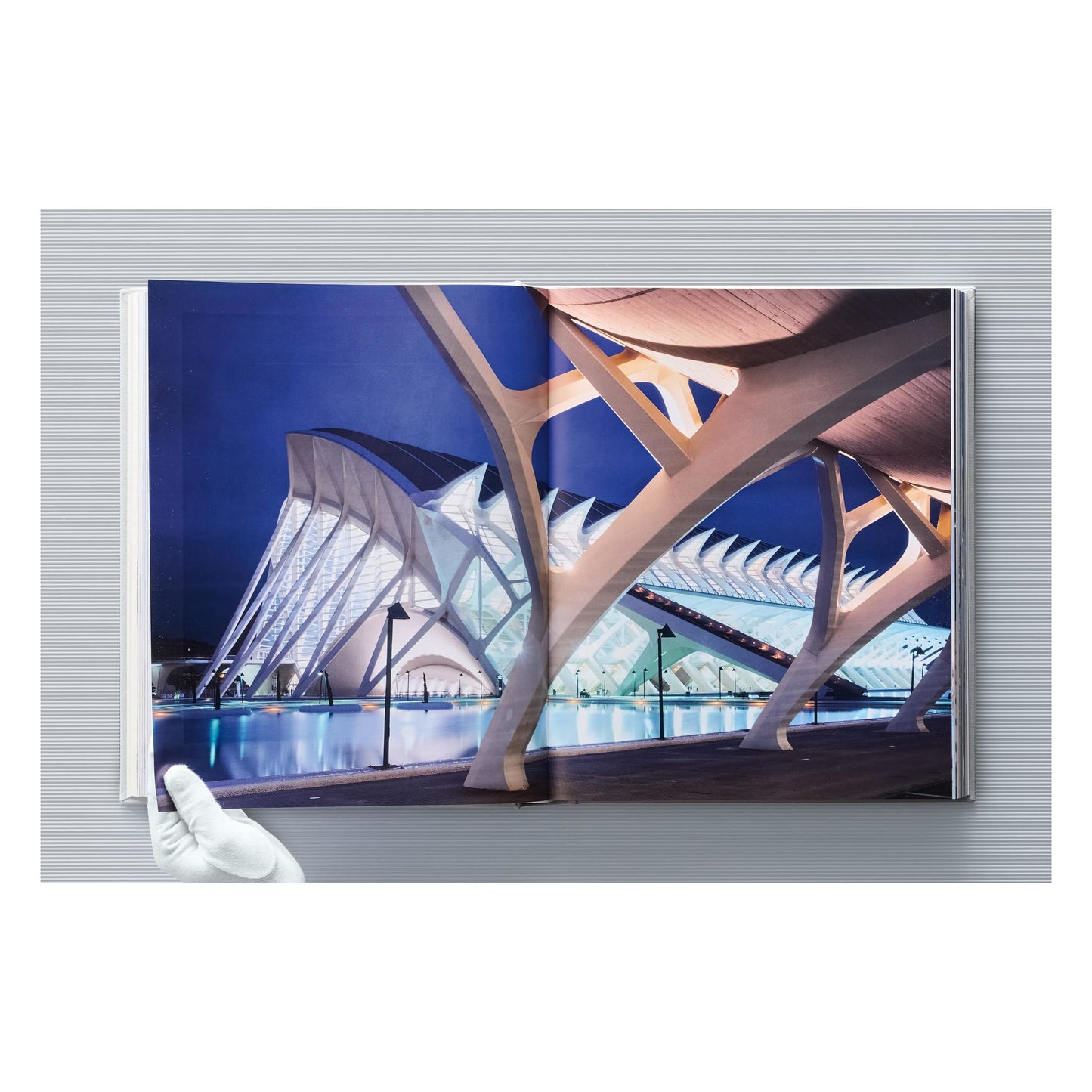Calatrava. Complete Works 1979–Today. Art Edition 'Transfigured Tree. Messenger of Light', 2023 (German, French, English)