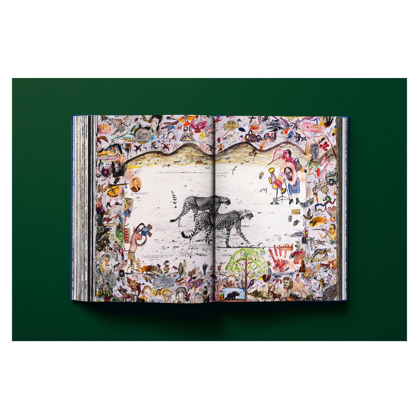 Peter Beard (German, French, English)