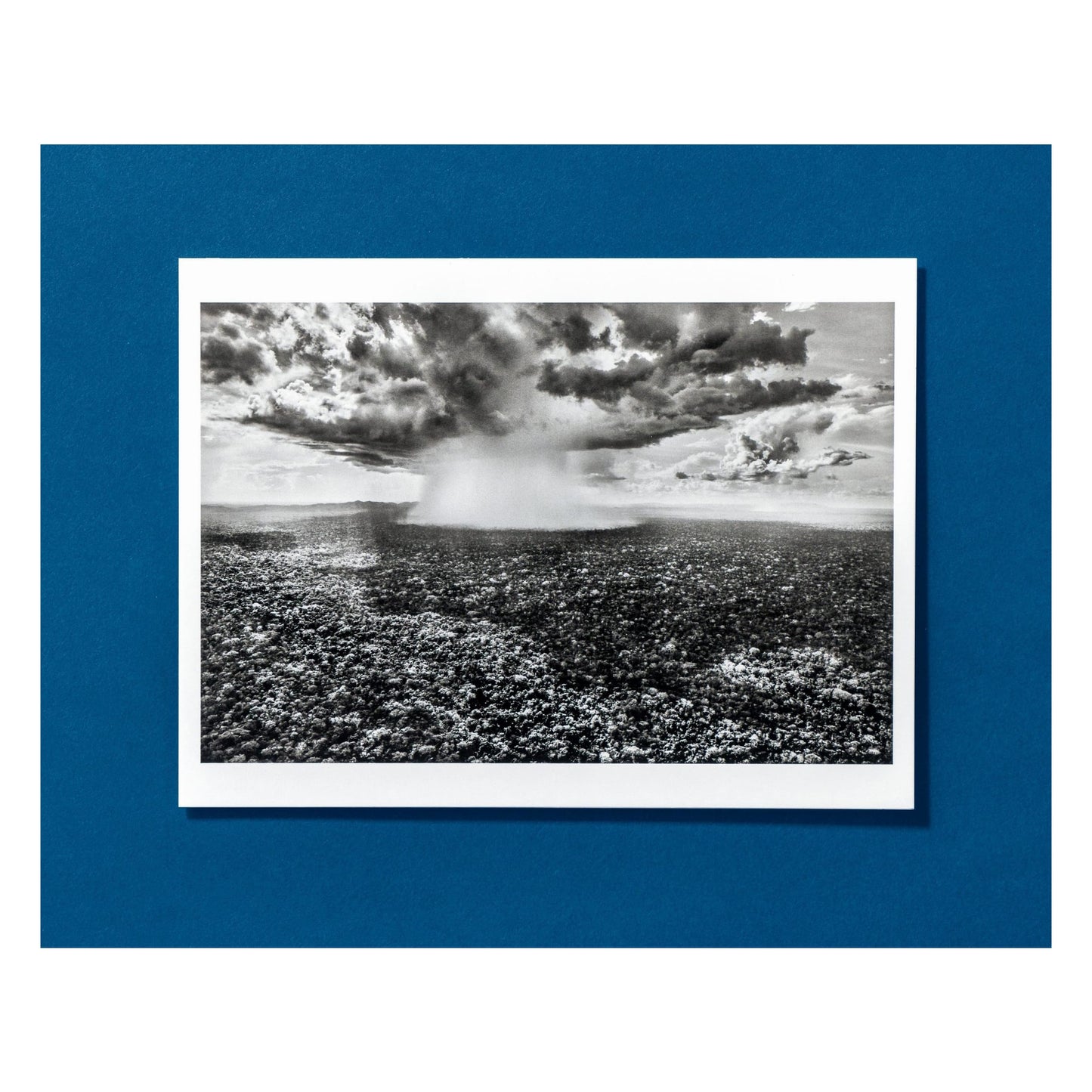 Sebastião Salgado. Amazônia. Postcard Set (German, Spanish, French, English)