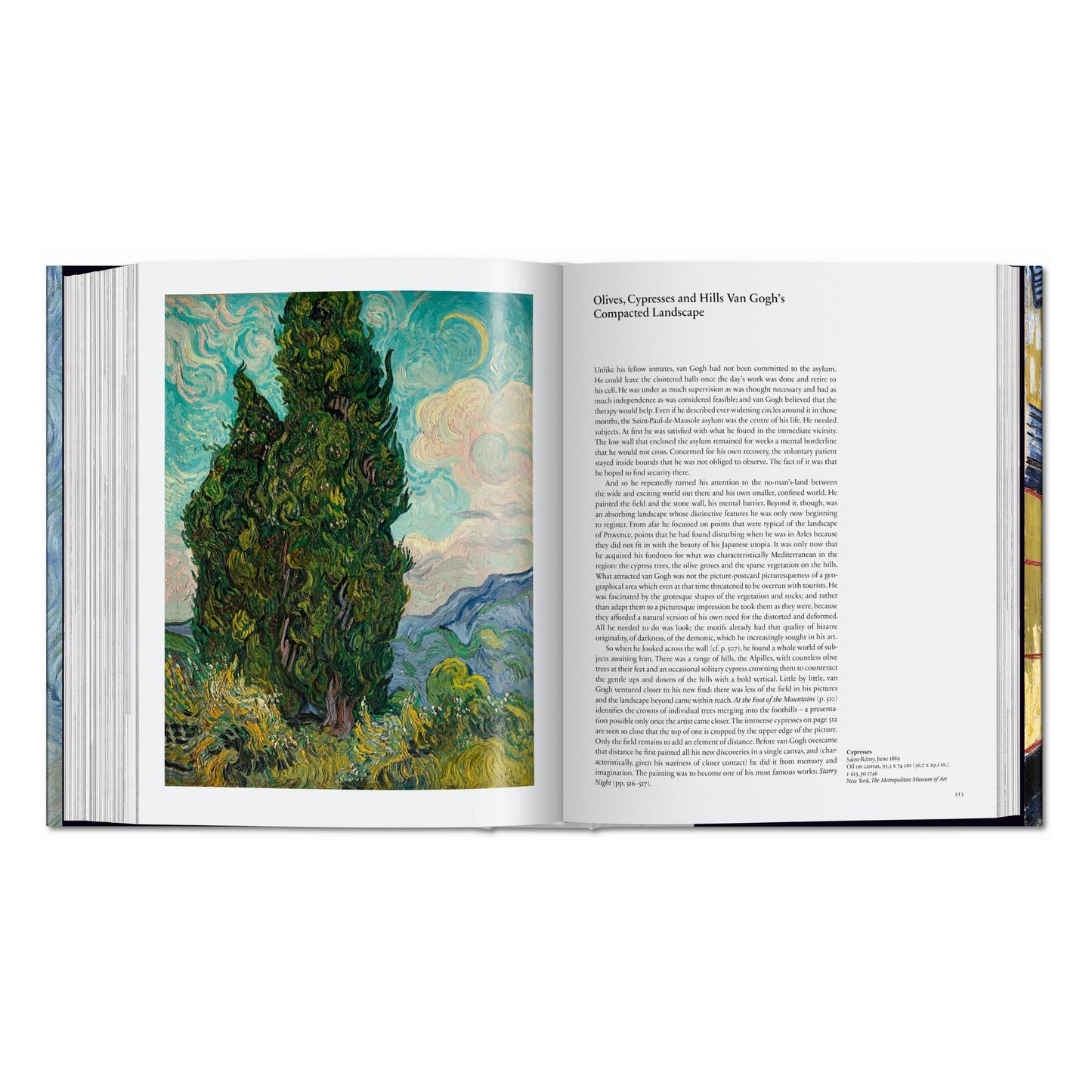 Van Gogh. Tout l'œuvre peint (French)