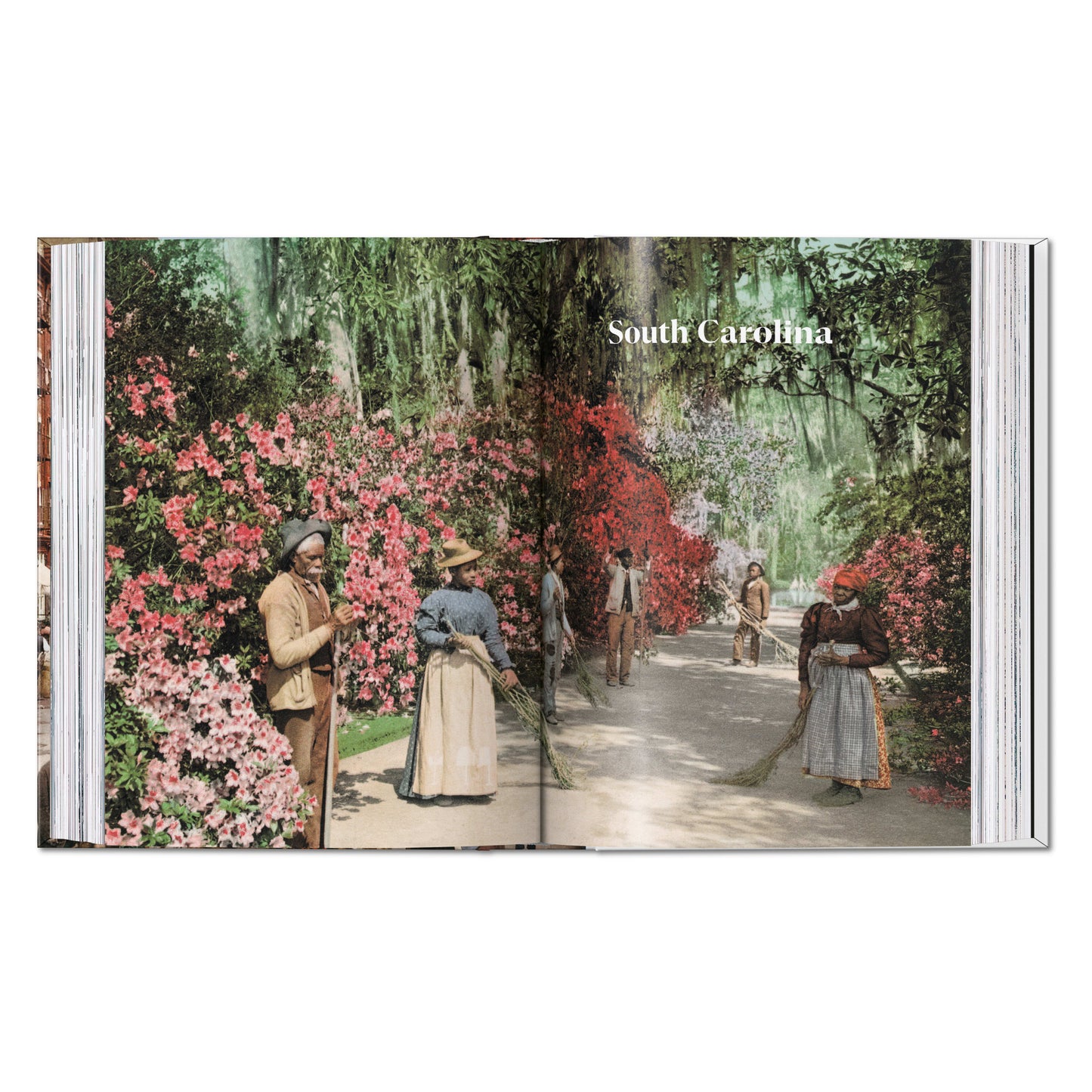 America 1900. A Portrait in Color. 45th Ed. (English)