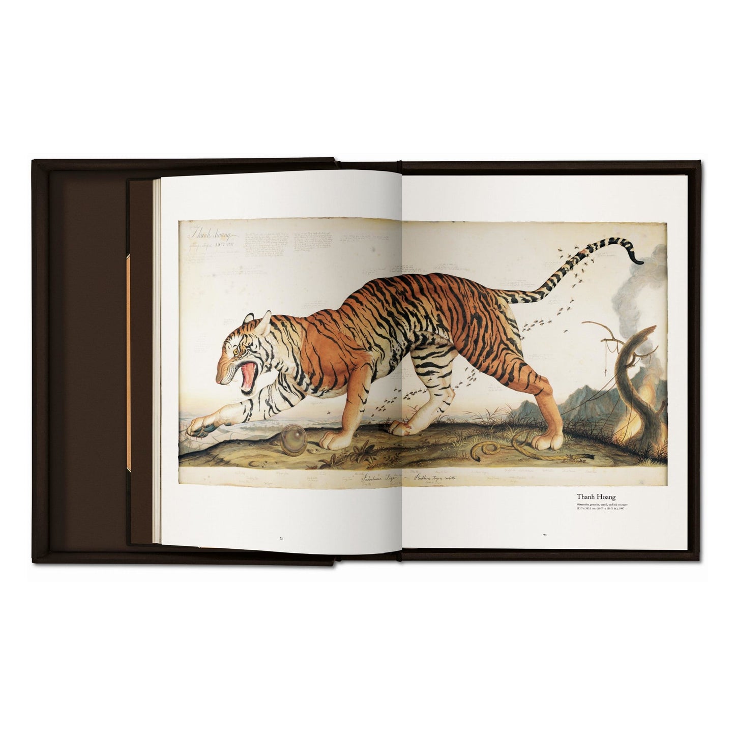 Walton Ford. Pancha Tantra (German, French, English) (AP)